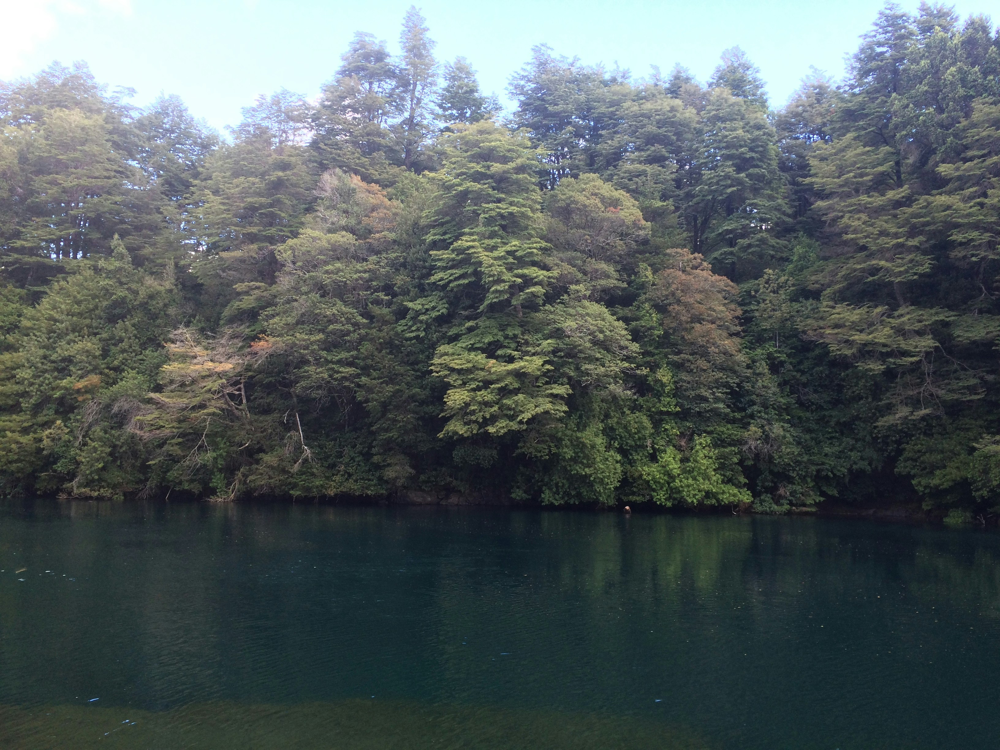 Free Unsplash photo from mauro  mora