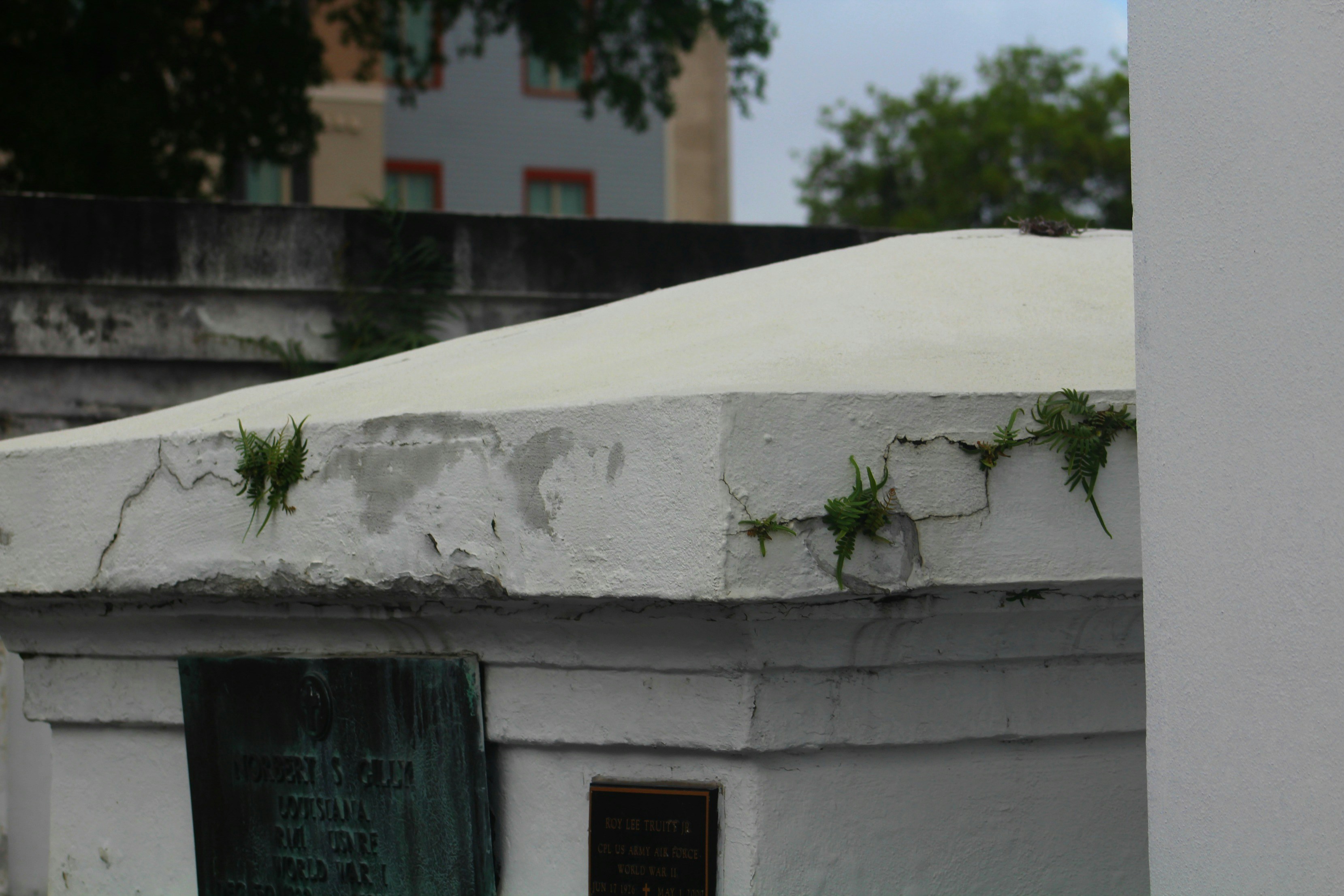 Free Unsplash photo from Richard Hale