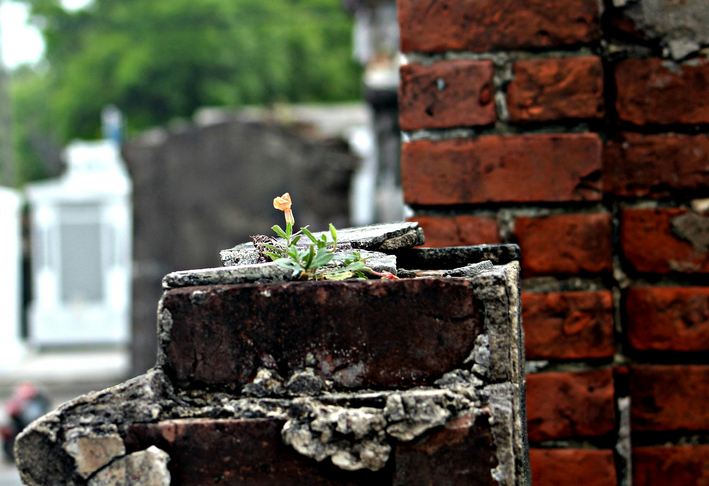 Free Unsplash photo from Richard Hale