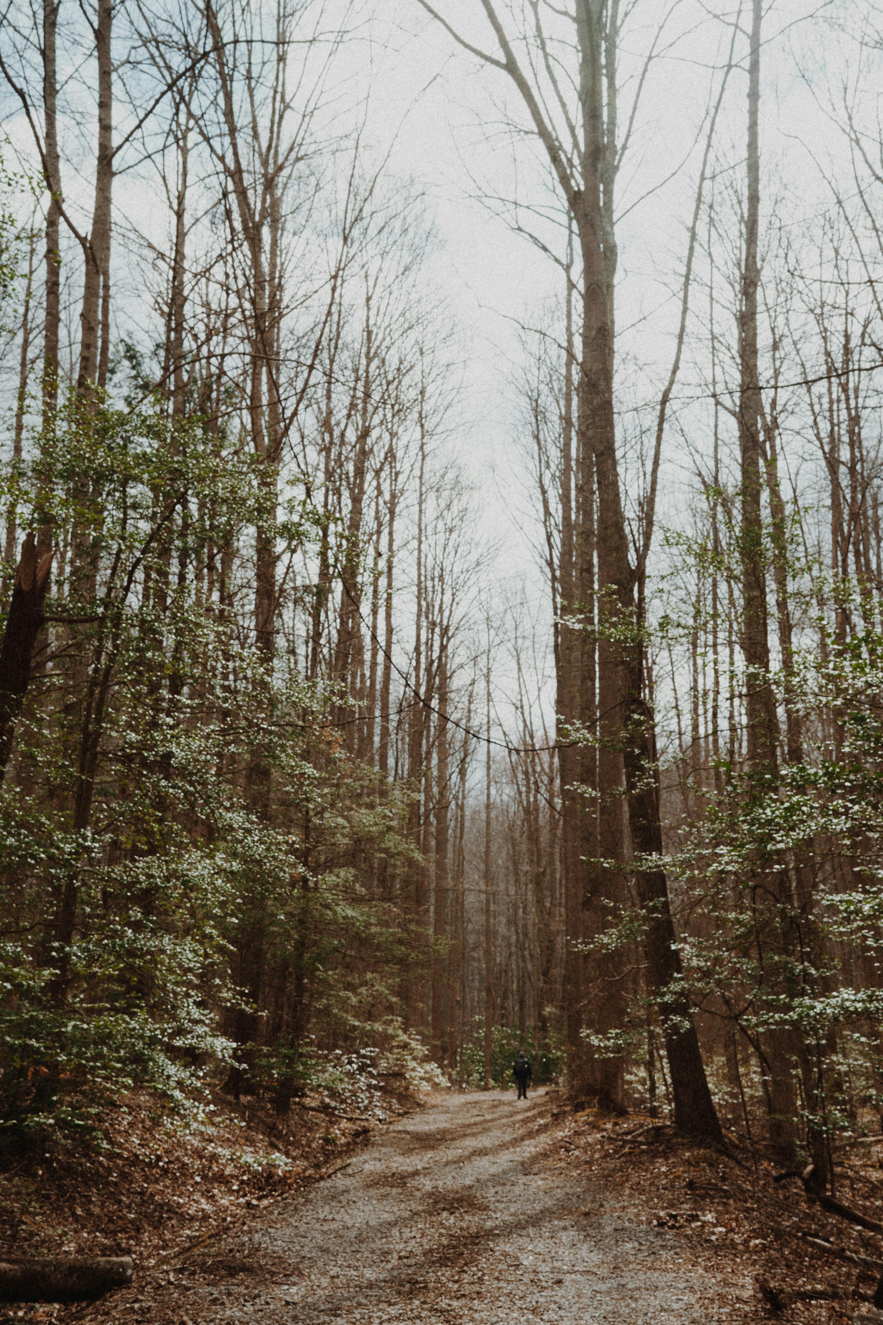 Free Unsplash photo from Jeffrey Wegrzyn