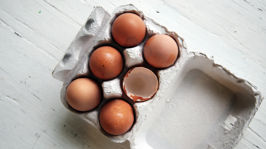 Eggs in an open carton