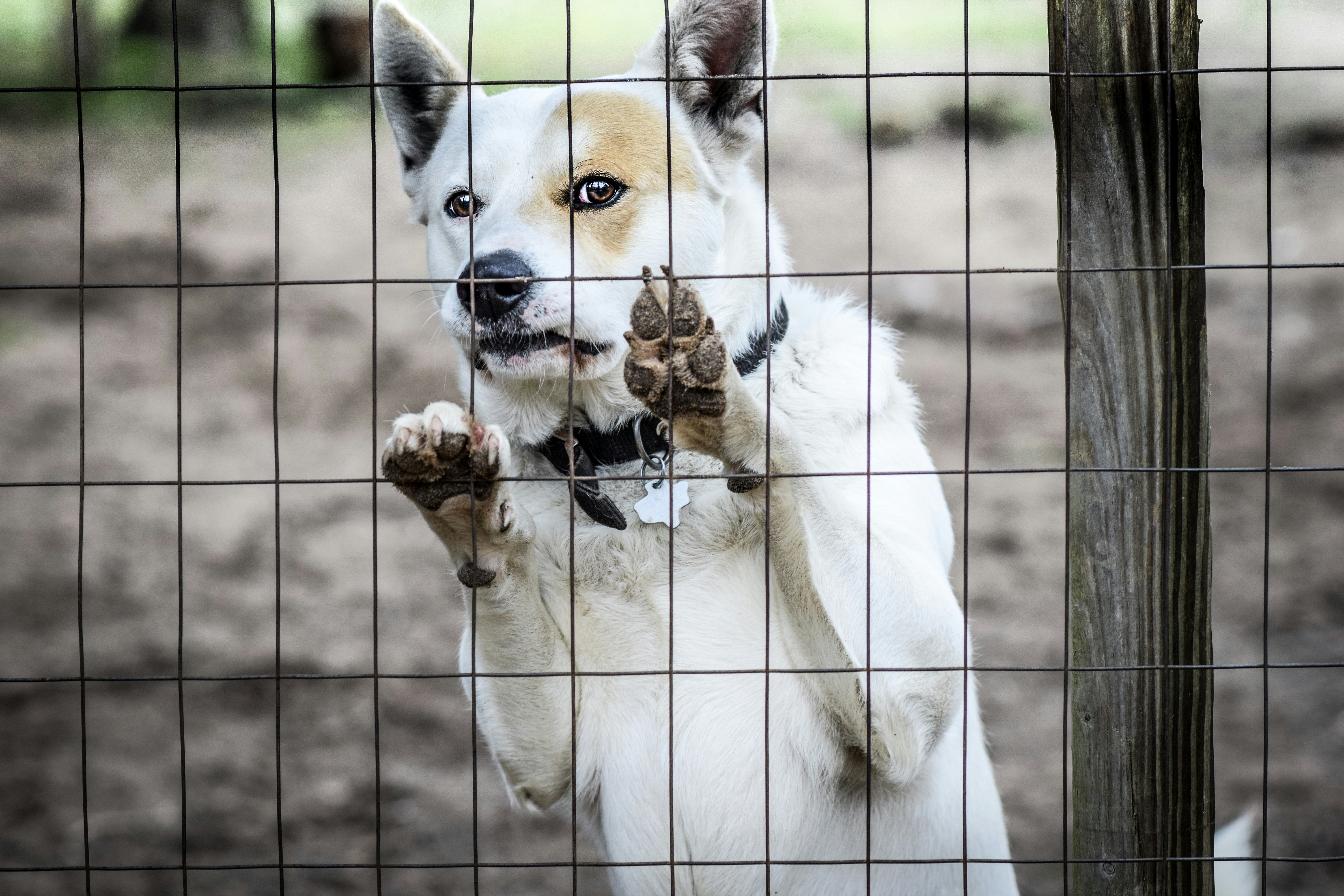 Free Unsplash photo from Multa Media