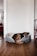 A brown dog with white markings is curled up in a gray and white pet bed. The setting is a room with wooden flooring, white walls, and a visible red chair to the right. In the background, there is a glimpse of another room with a red sofa and a window.