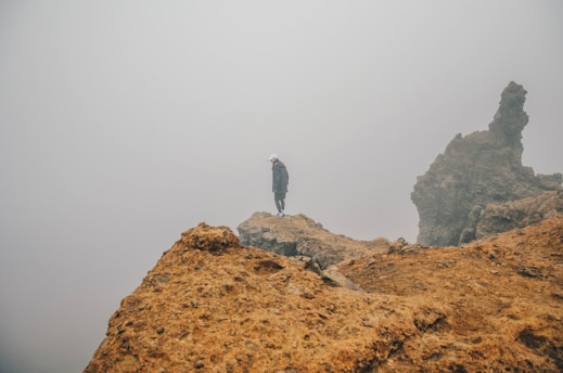 A rugged survivor standing on a cliff overlooking a foggy, zombie-infested coastline at dawn.