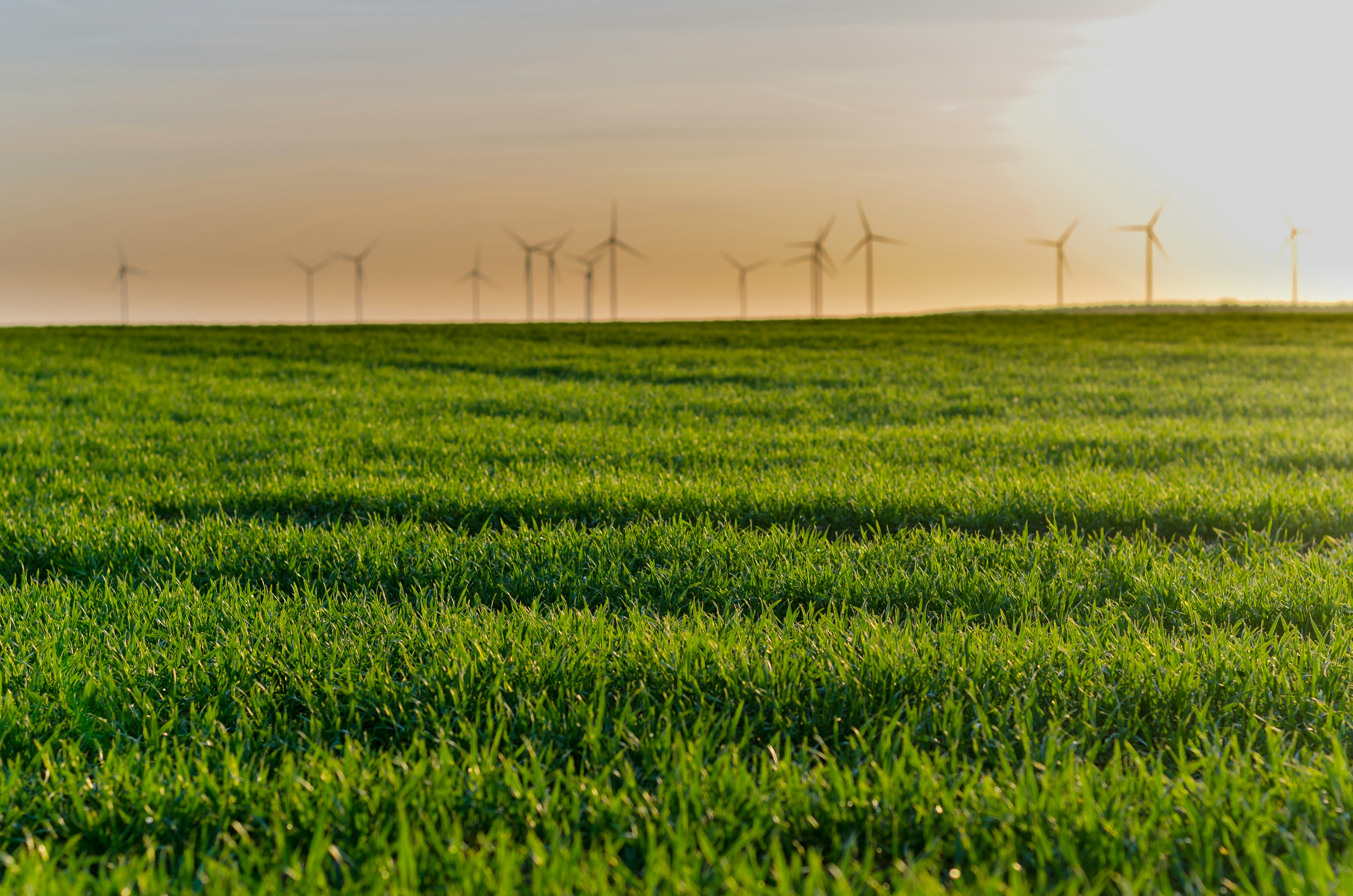 Wind turbines and solar panels at sunset, clean energy landscape, warm golden light, sustainability