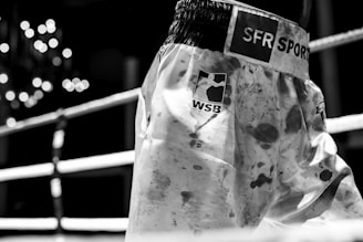 A pair of boxing shorts with visible logos and patterns, standing in the foreground with blurred ring ropes and lights in the background.