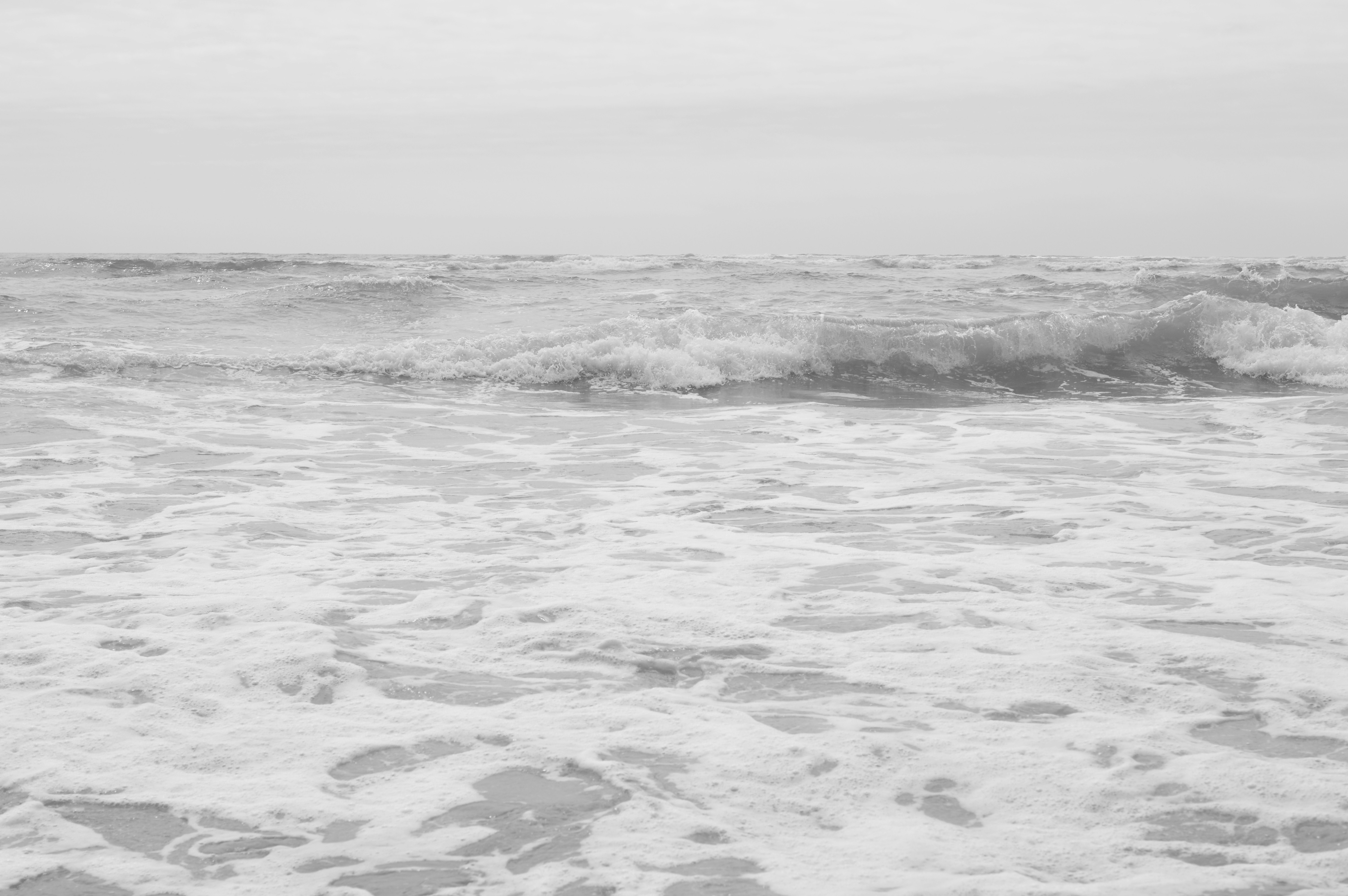 Free Unsplash photo from Présci