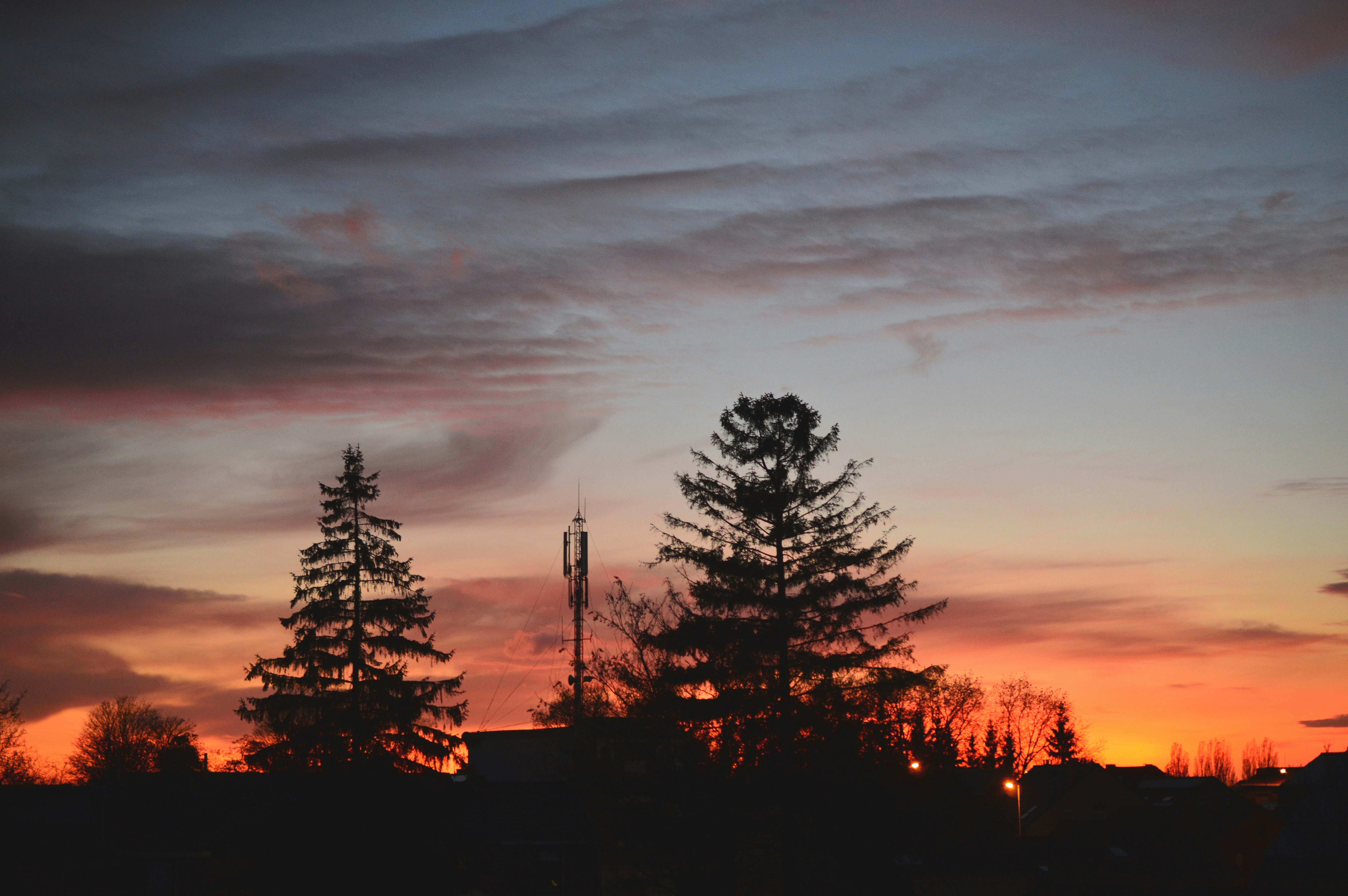 Free Unsplash photo from Présci