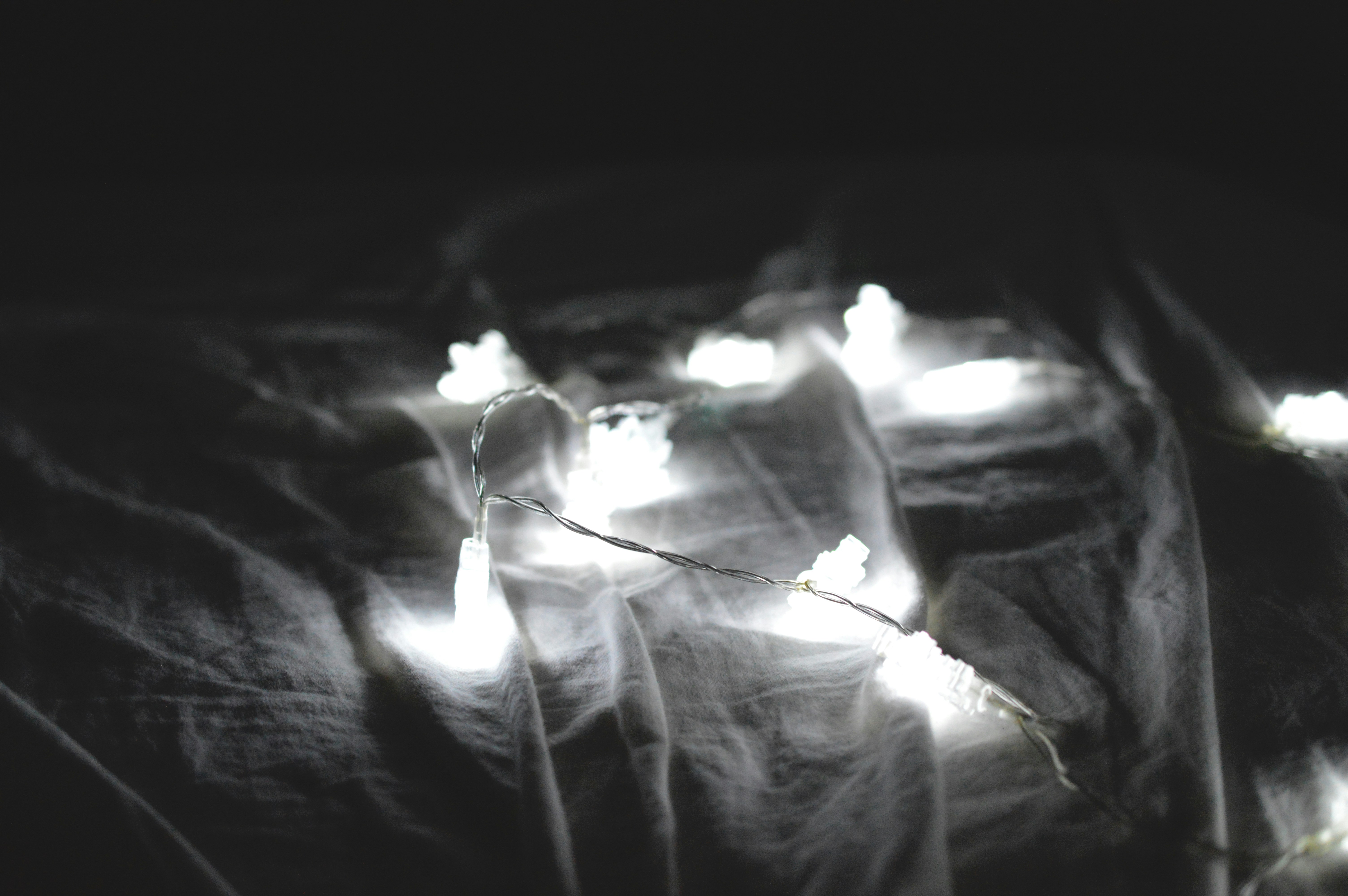 Free Unsplash photo from Présci