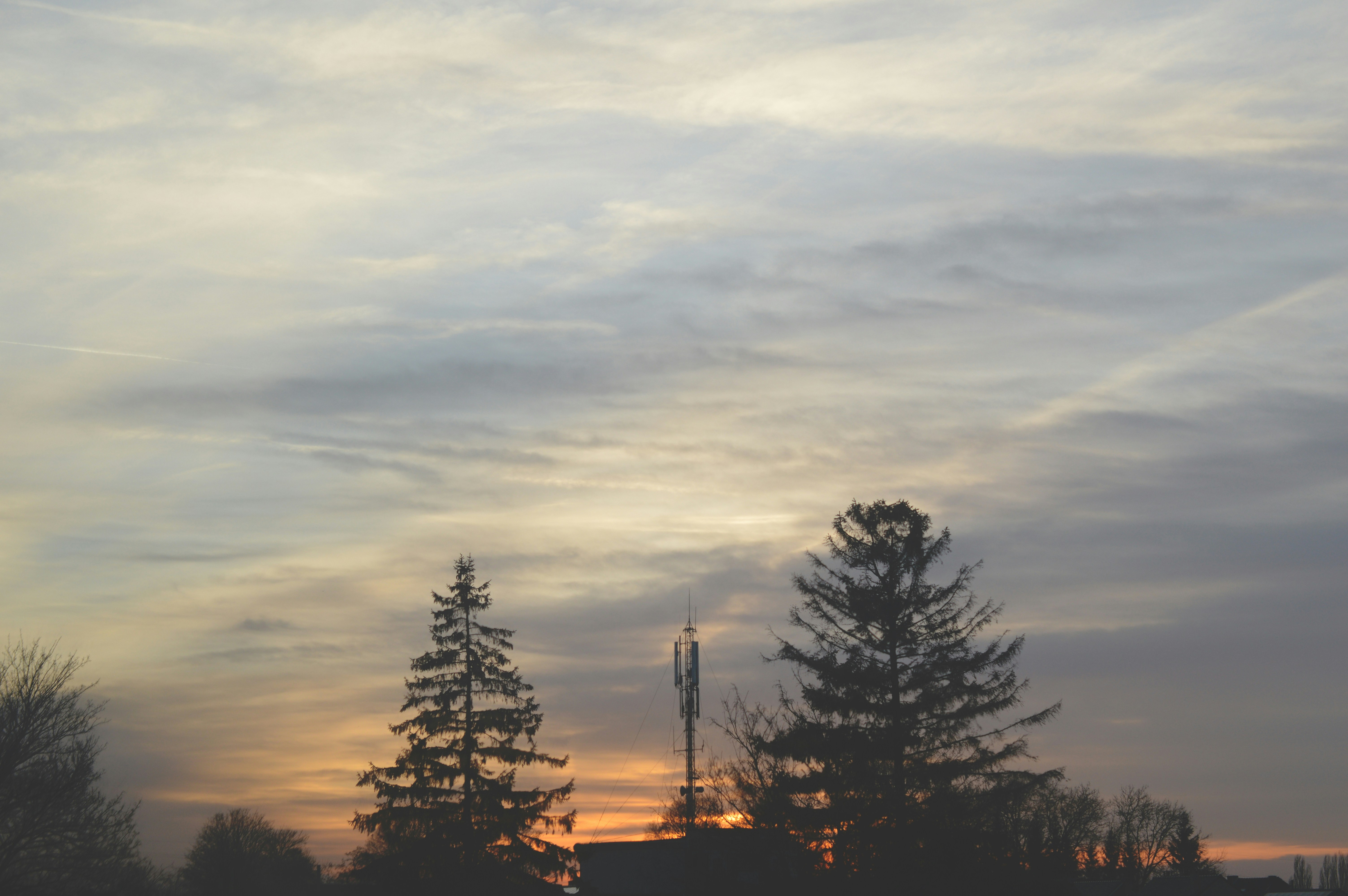 Free Unsplash photo from Présci