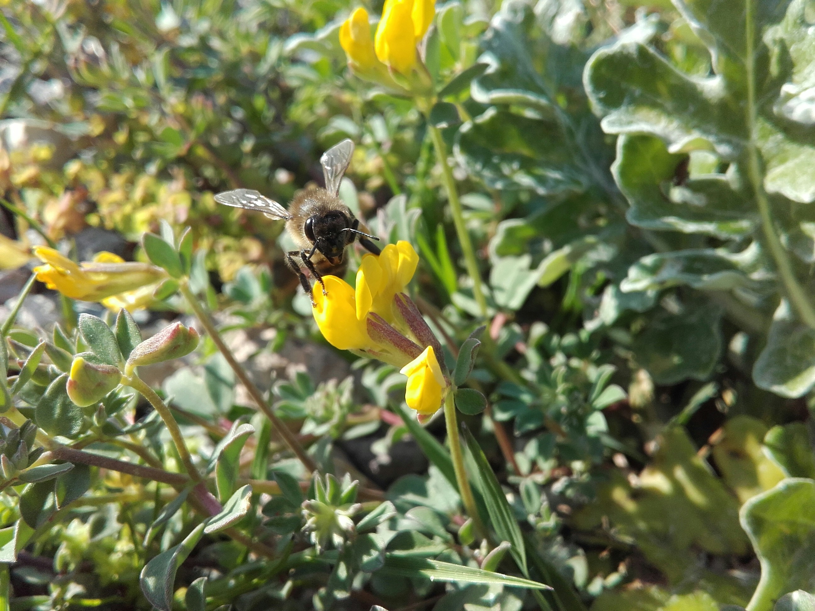 Free Unsplash photo from fabien loos