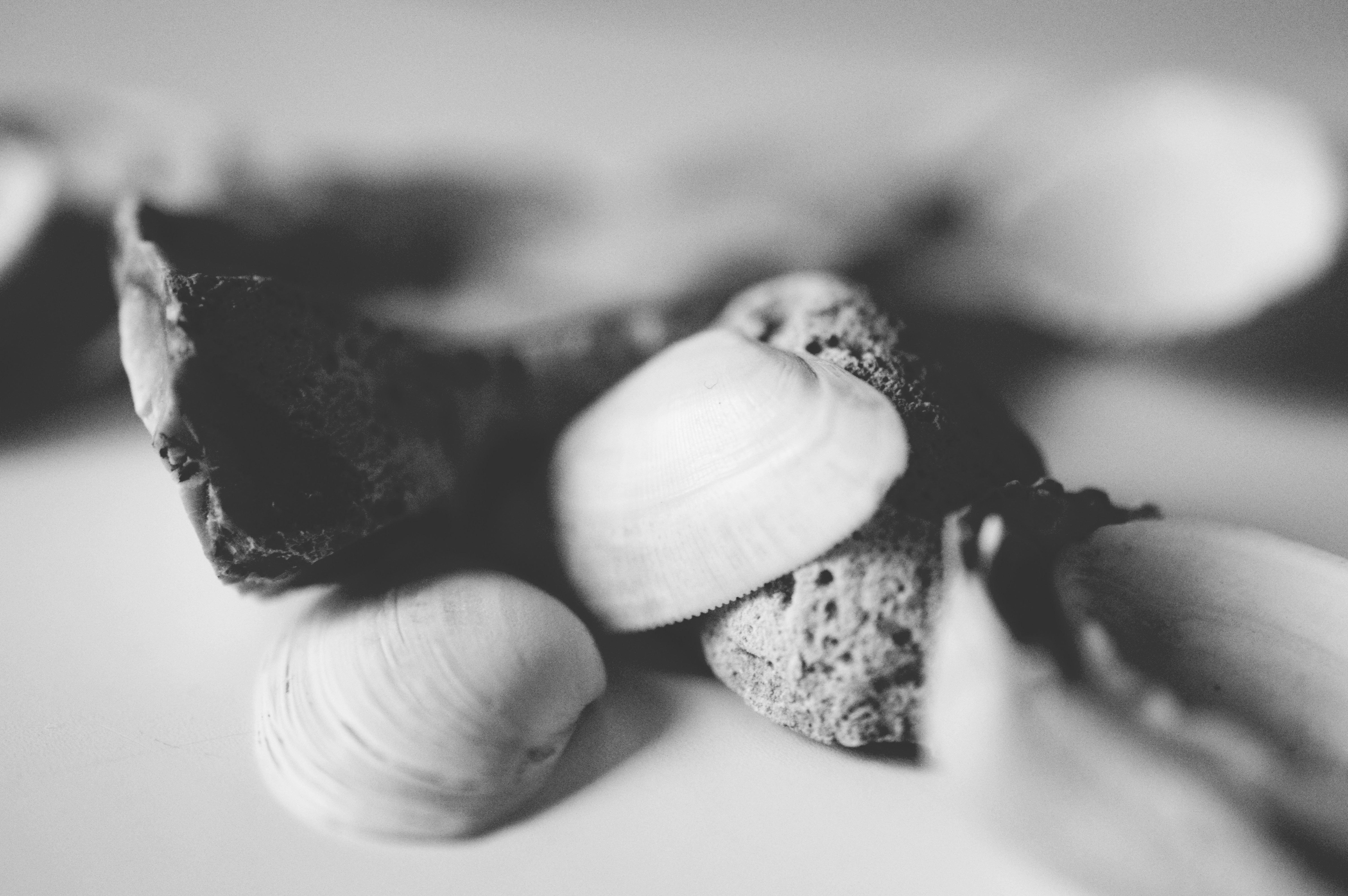 Free Unsplash photo from Présci