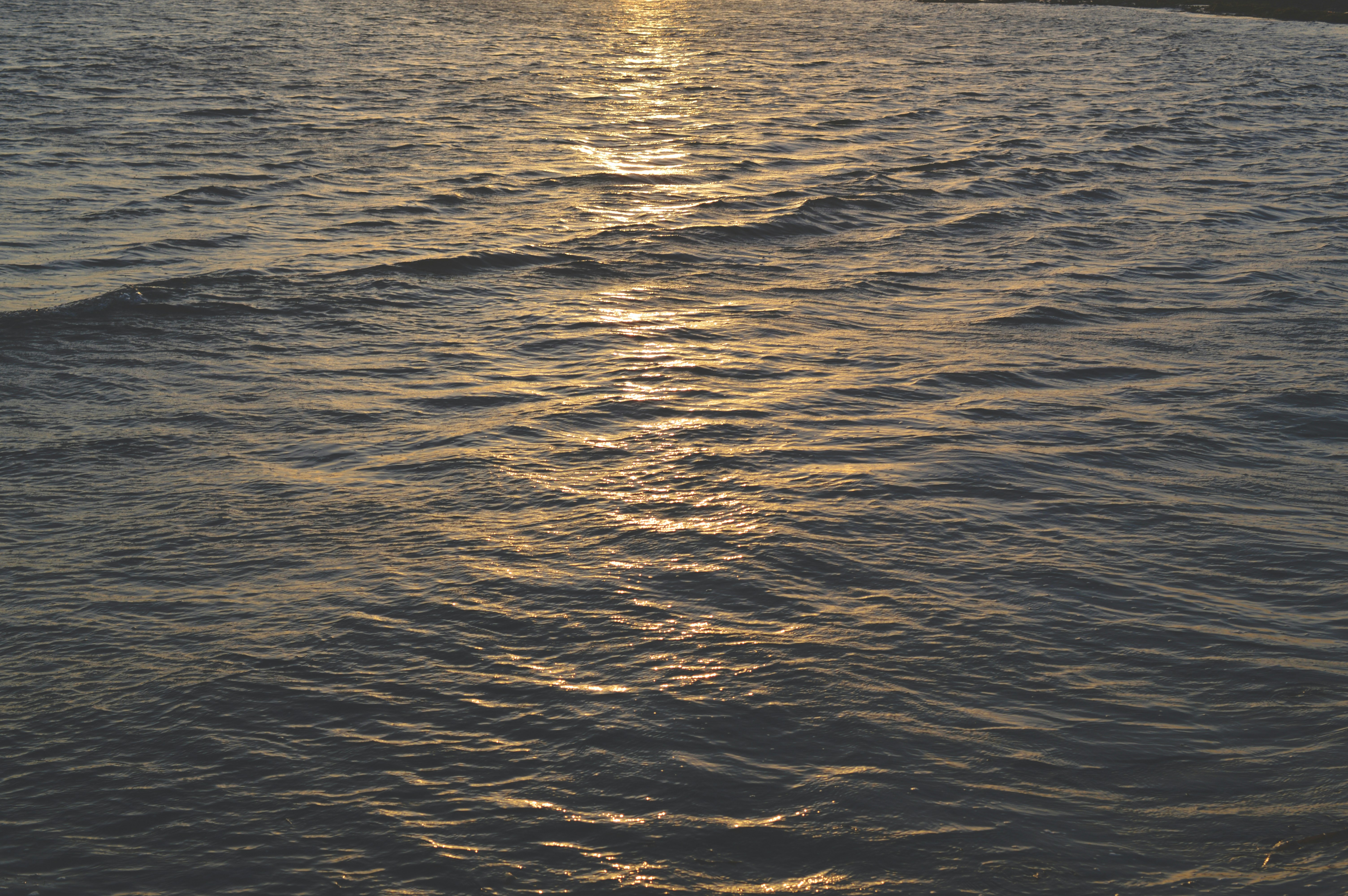 Free Unsplash photo from Présci