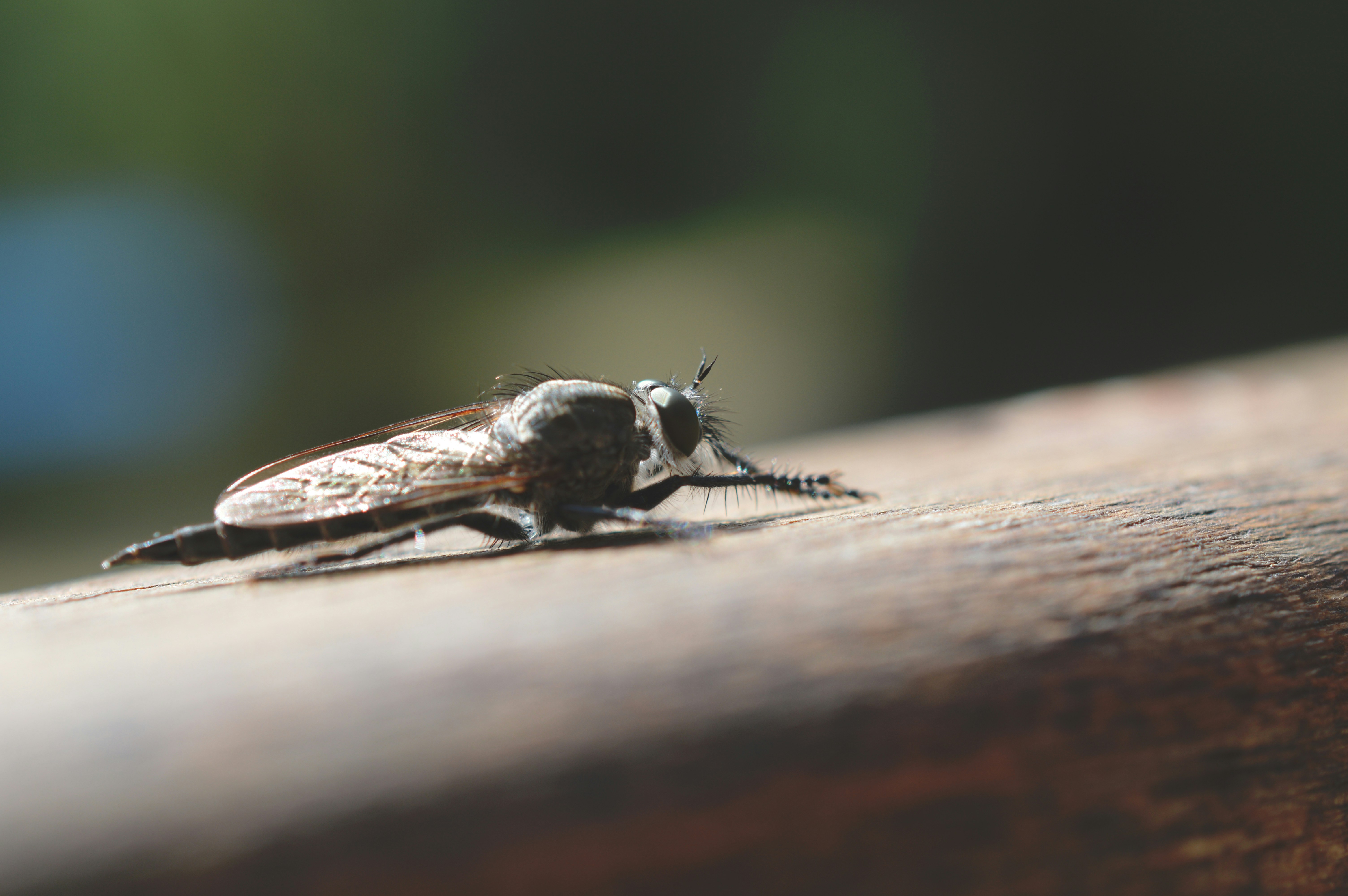 Free Unsplash photo from Présci