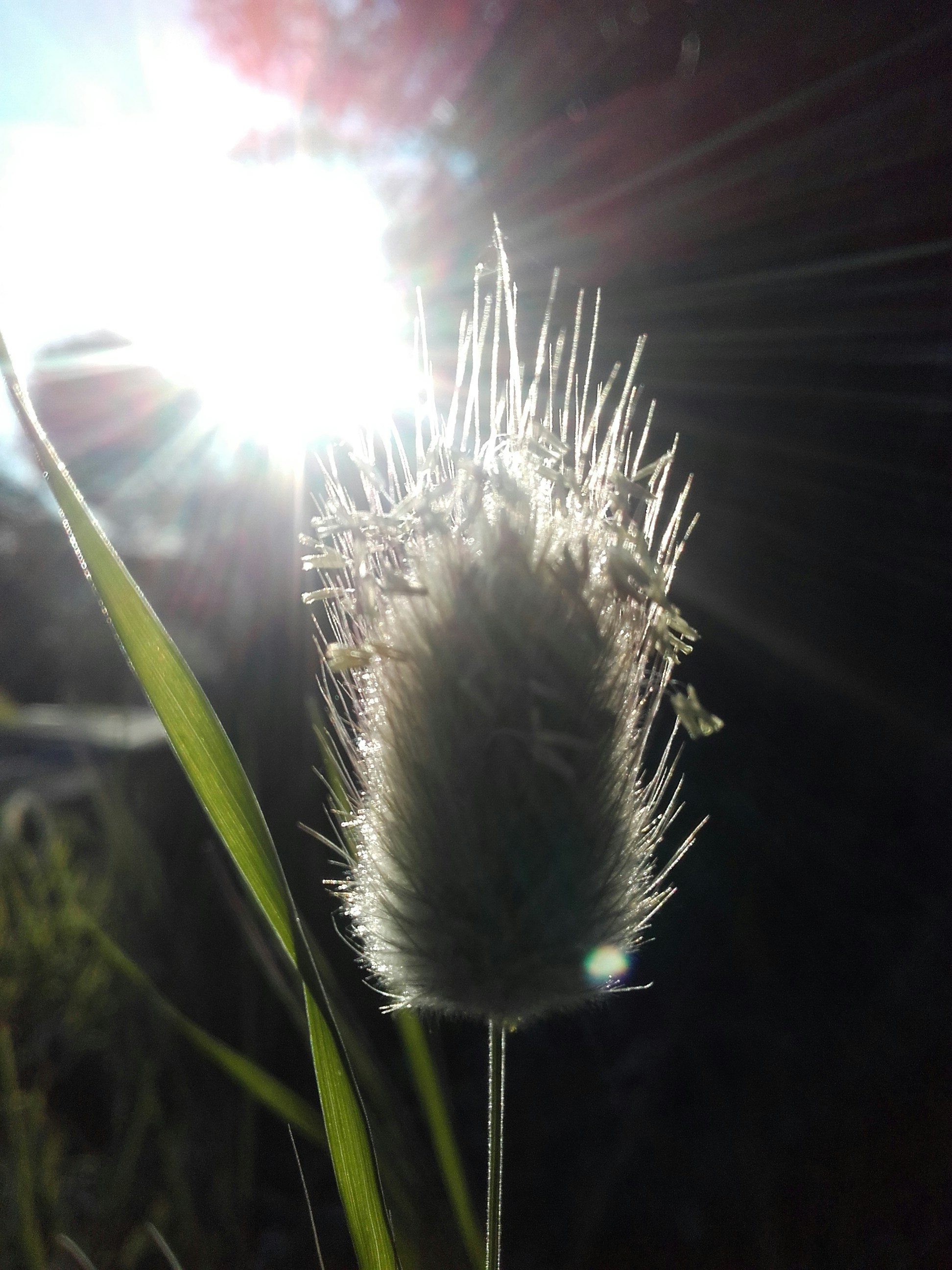 Free Unsplash photo from fabien loos