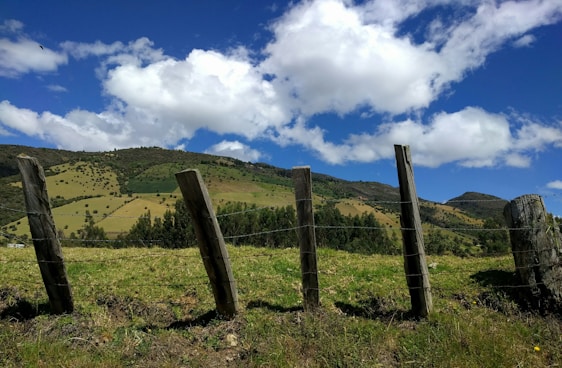 A sunlit morning view of Charge Valley Farms' lush green fields bordered by rustic wooden fences under a clear blue sky.