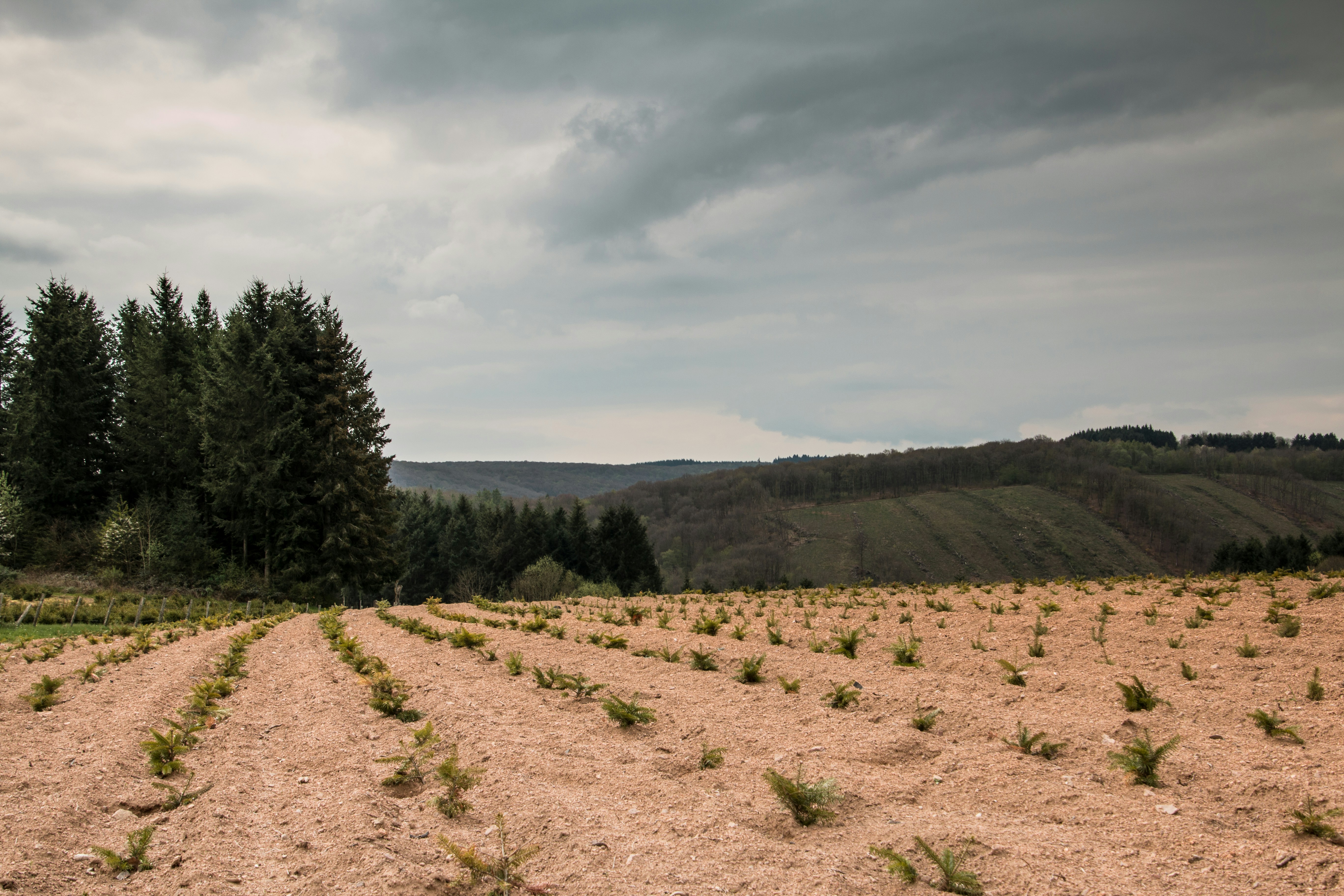 Free Unsplash photo from Marc Gustave