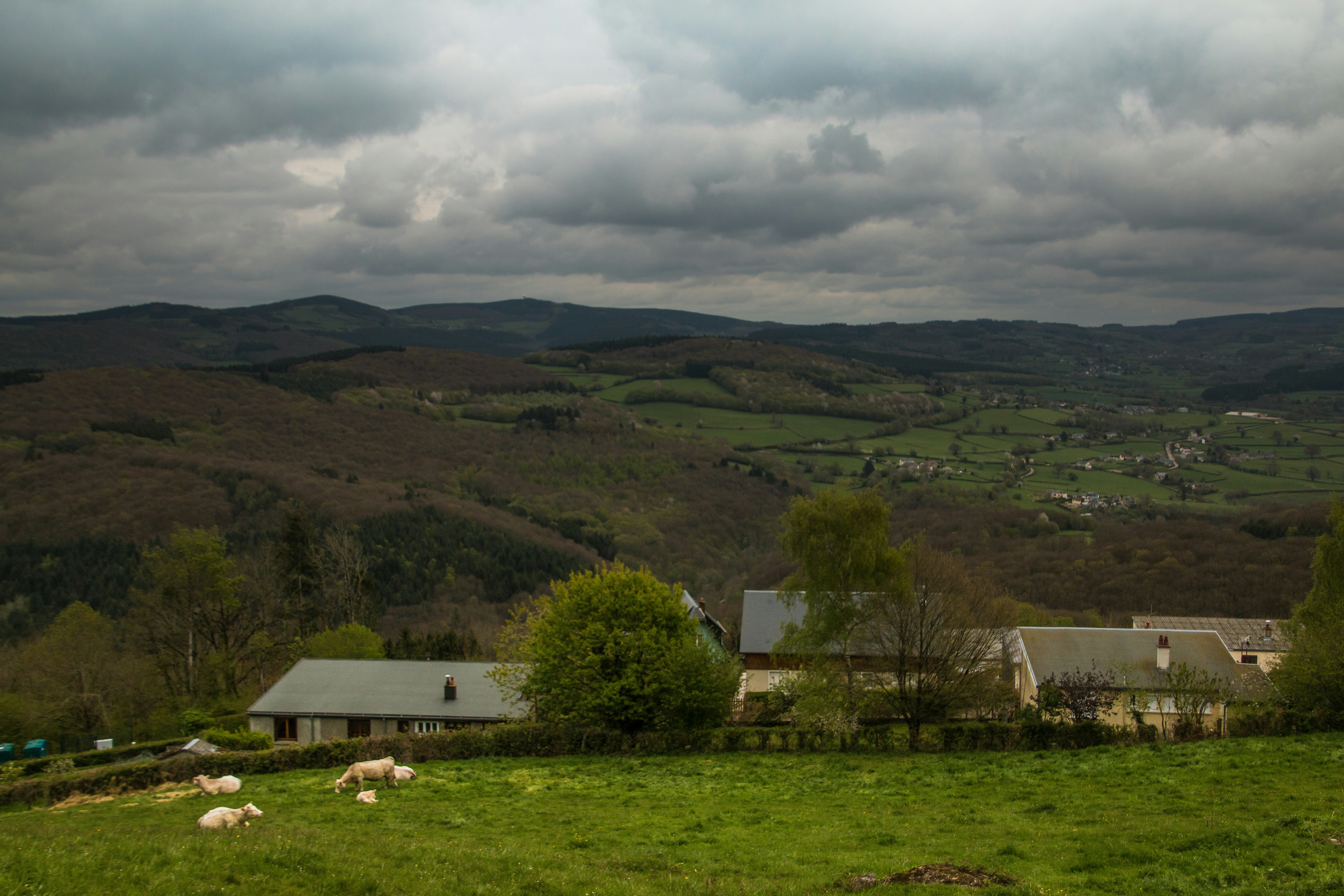 Free Unsplash photo from Marc Gustave