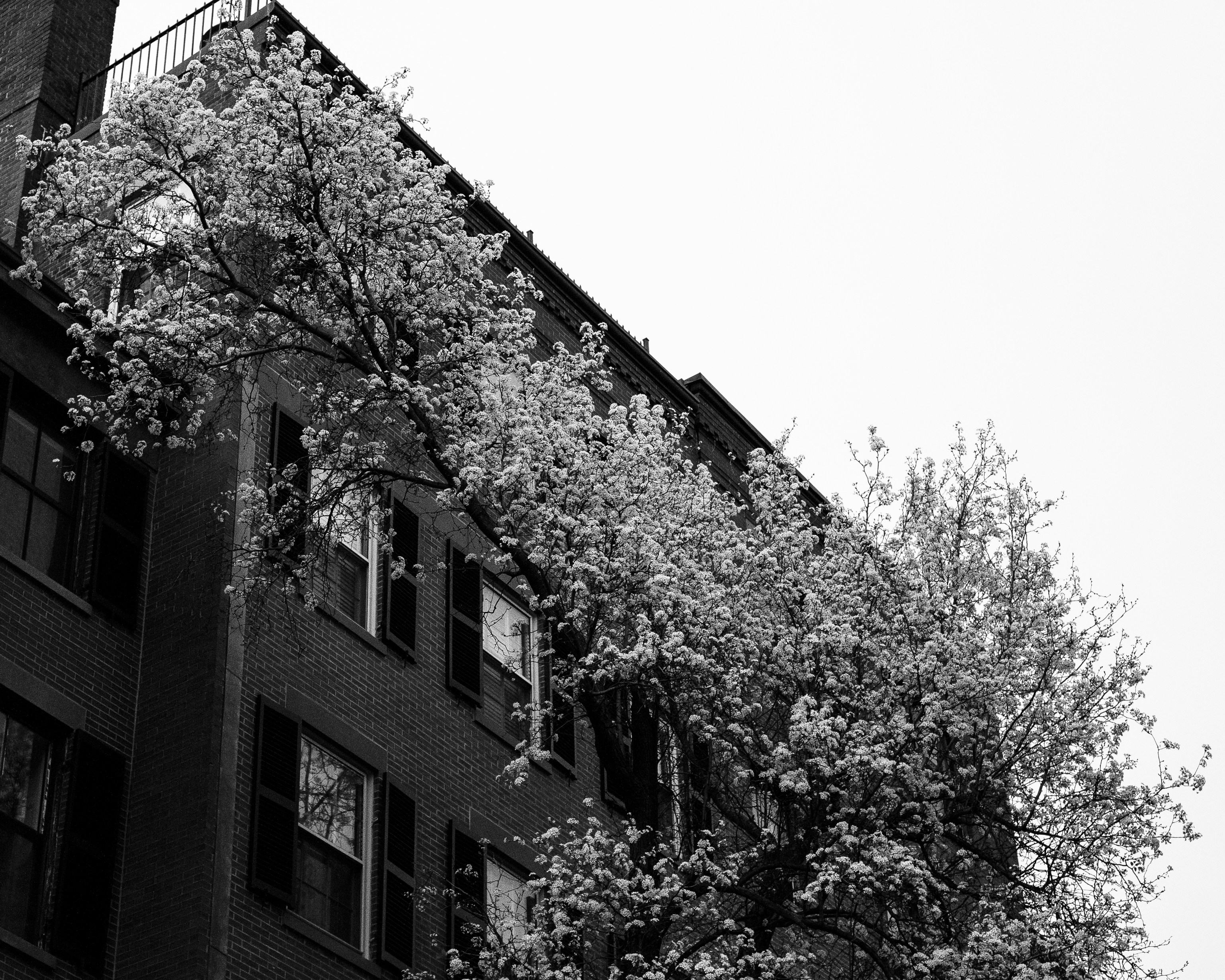 Free Unsplash photo from Christopher Goodwin