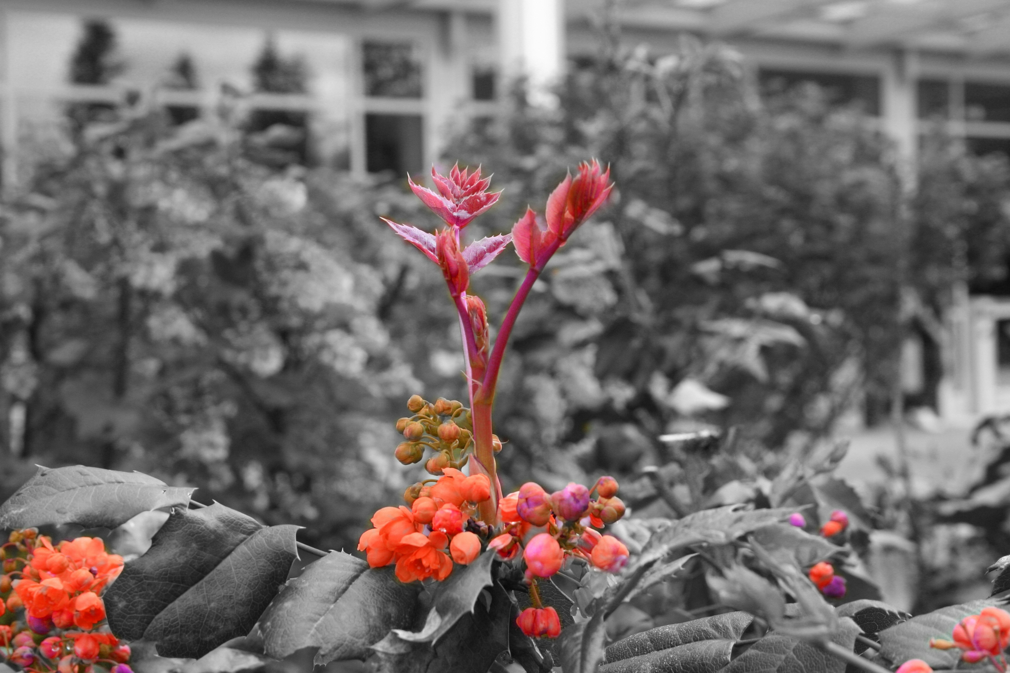 Free Unsplash photo from Ahmet Sariyev