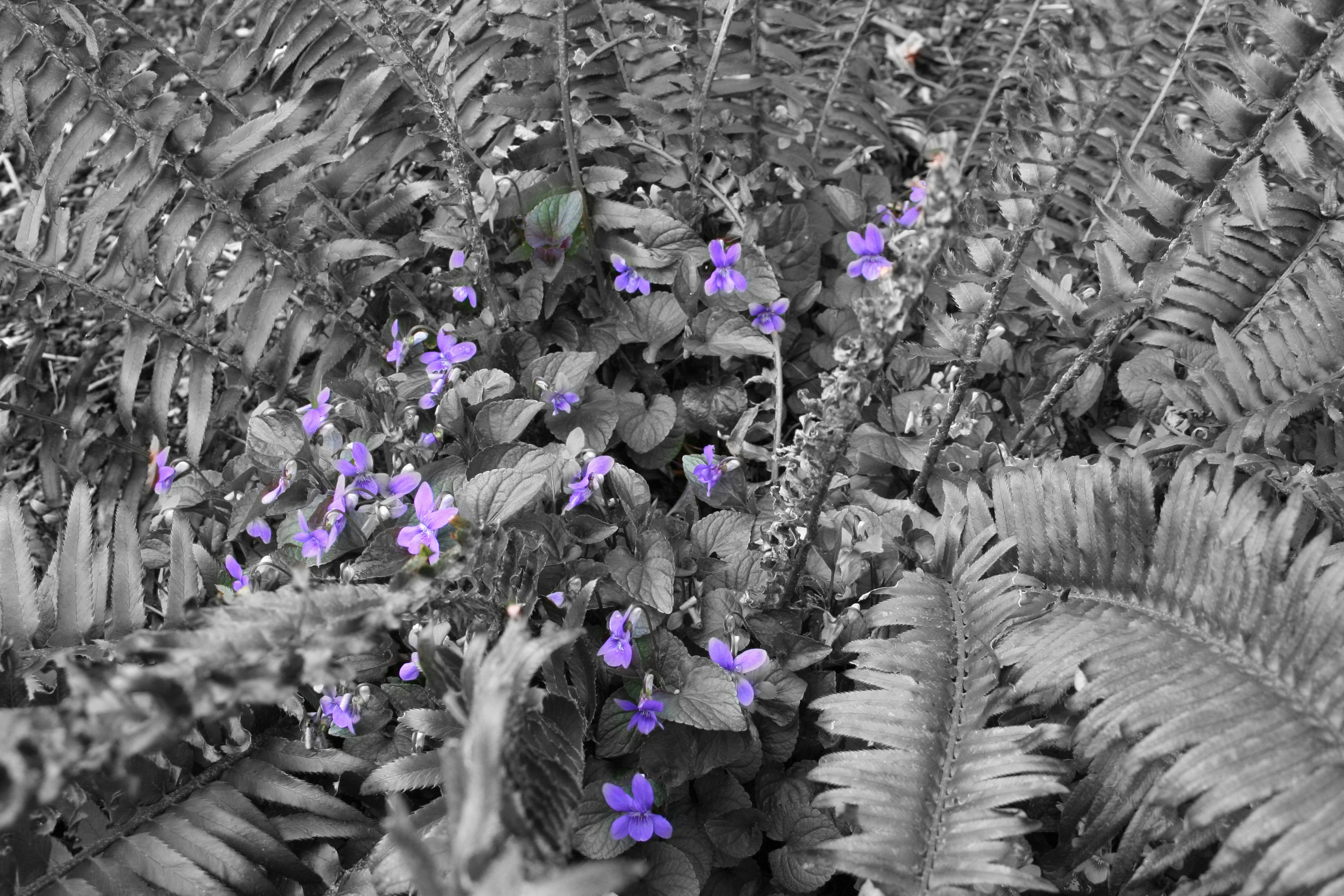 Free Unsplash photo from Ahmet Sariyev