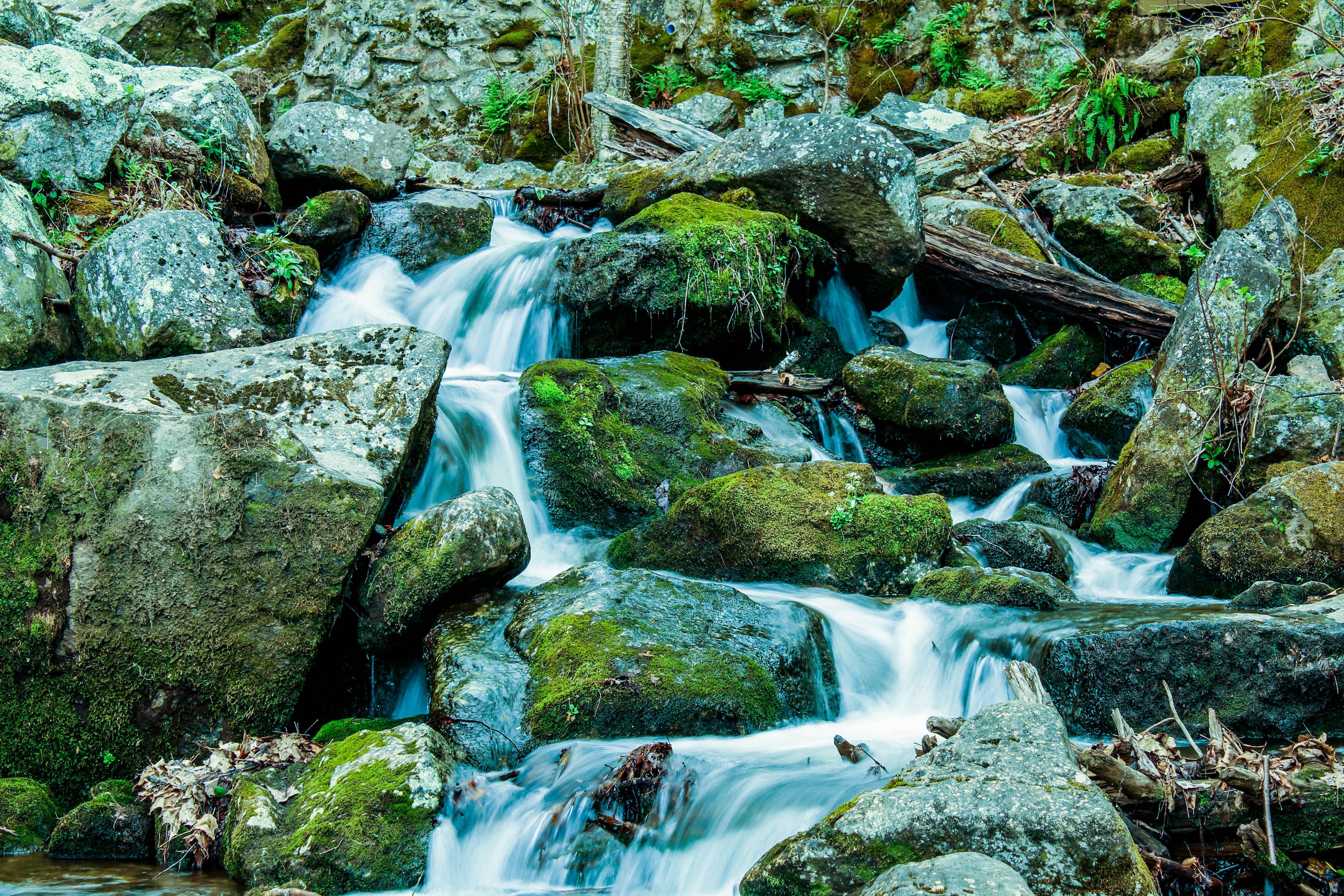 Free Unsplash photo from Caleb Martin