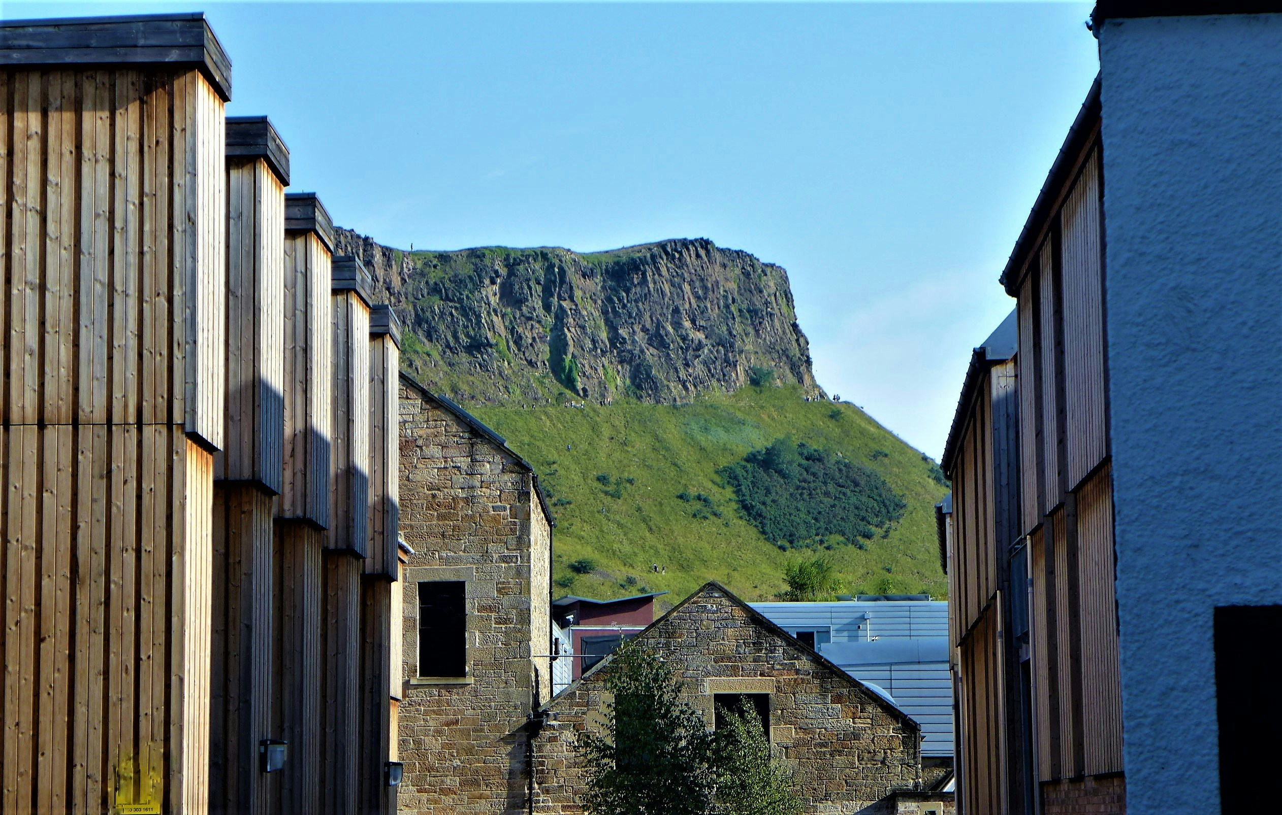 Free Unsplash photo from Plinio Fava