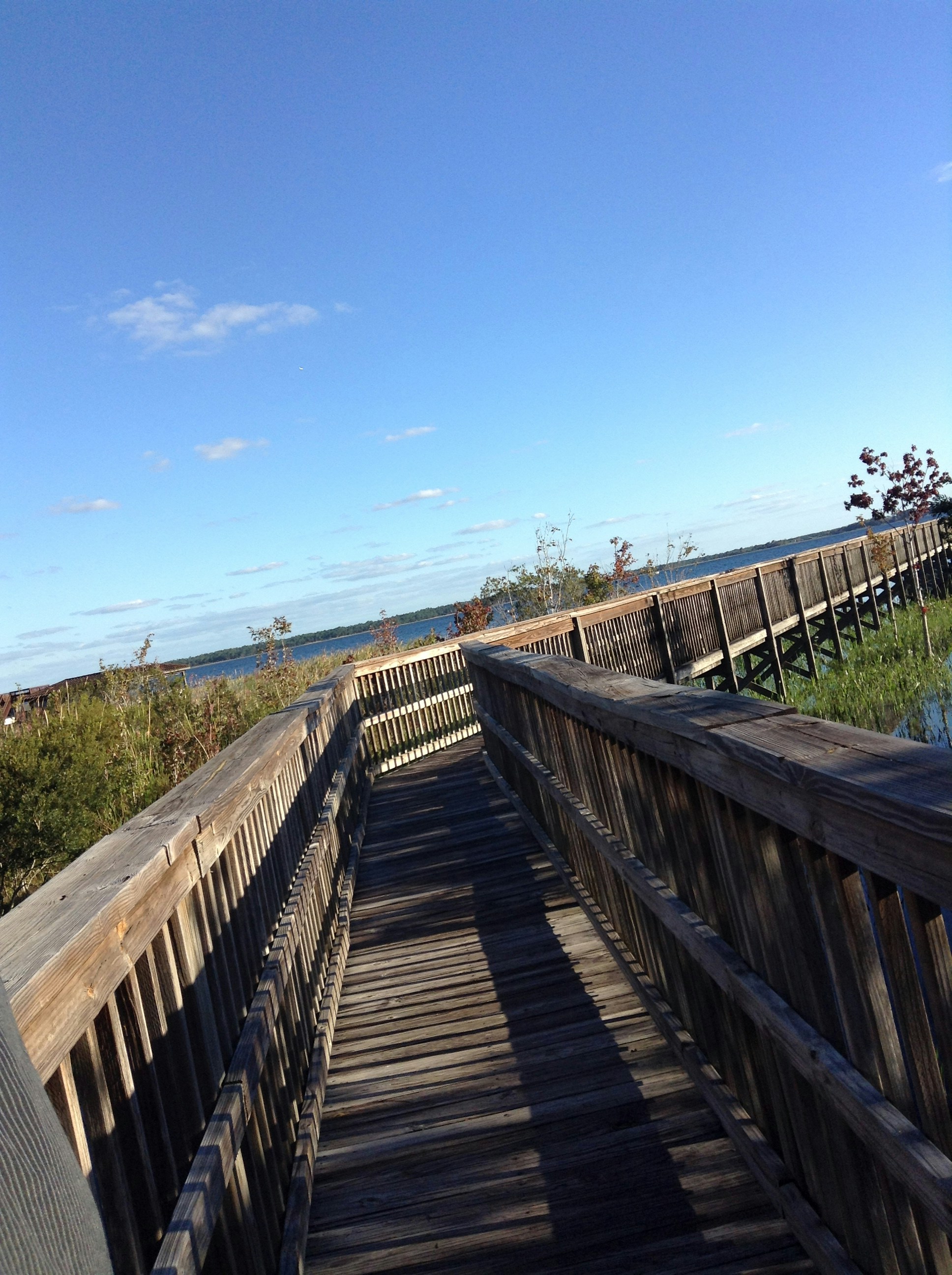 Free Unsplash photo from Jade Tjernagel