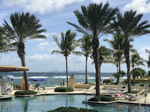 Palm trees line a poolside with lounge chairs where people are relaxing. The scene overlooks an ocean with waves, a partly cloudy sky, and distant islands. An ice cream cart with an umbrella adds to the vacation vibe.