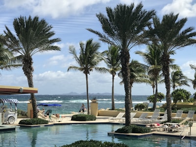 Palm trees line a poolside with lounge chairs where people are relaxing. The scene overlooks an ocean with waves, a partly cloudy sky, and distant islands. An ice cream cart with an umbrella adds to the vacation vibe.