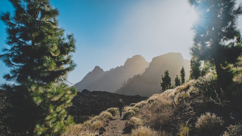 piso en venta - Nuda propiedad en Las Palmas de Gran Canaria, Las Palmas - 72 m², 2 hab., 1 baño - Descuento 42%