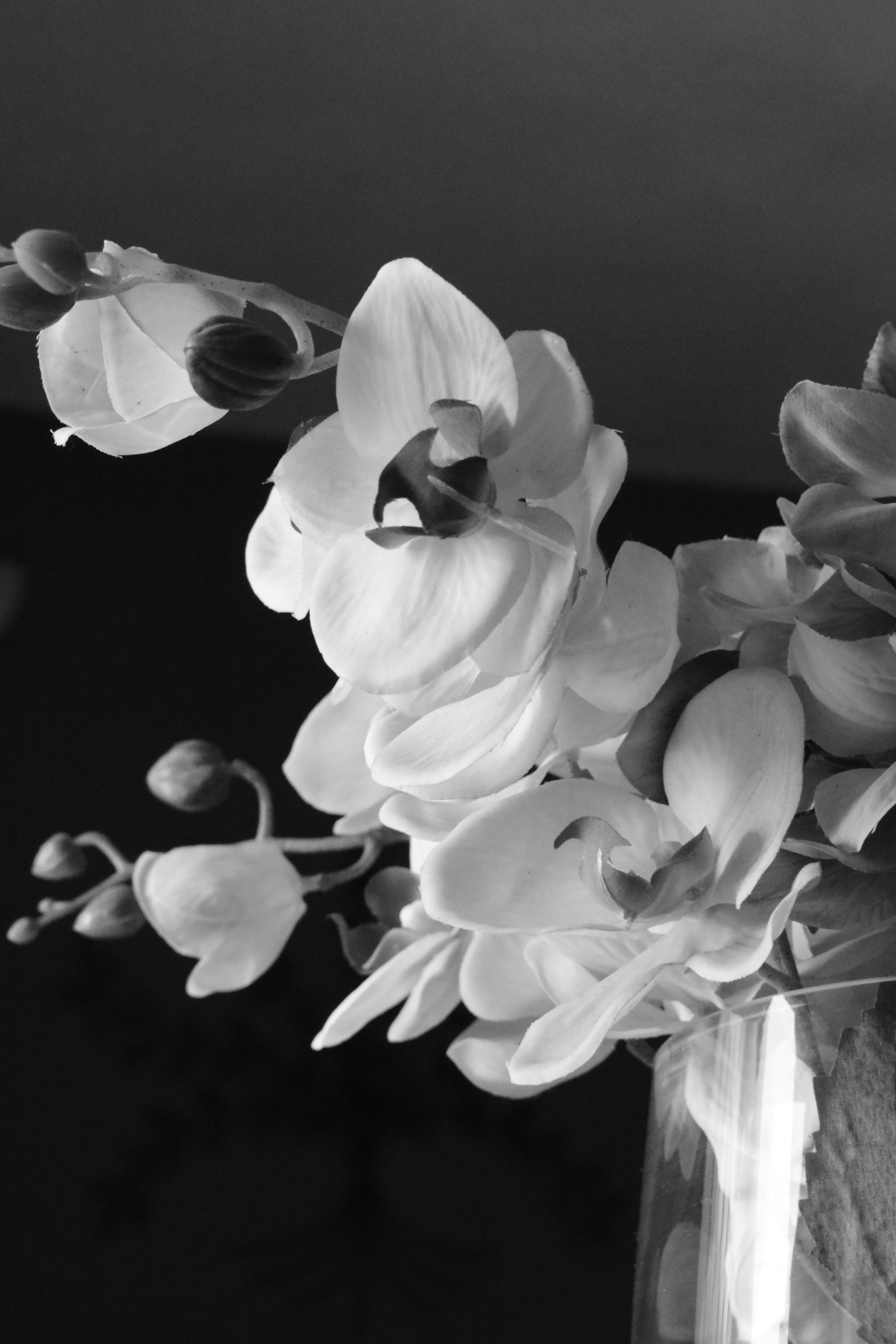 Free Unsplash photo from Daniel Gutiérrez