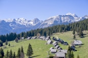 A scenic view of Colorado mountains, reflecting Cheyenne's love for her home.
