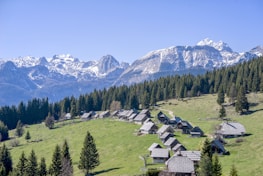 A scenic view of Colorado mountains, reflecting Cheyenne's love for her home.