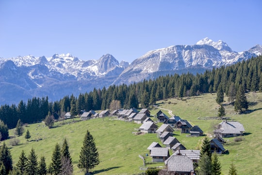 grey houses on field in Pokljuka Slovenia