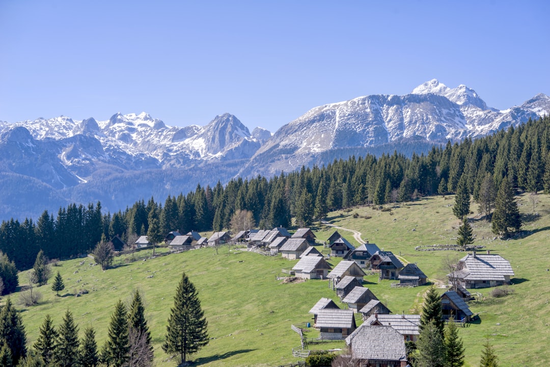 grey houses on field, A mountain village