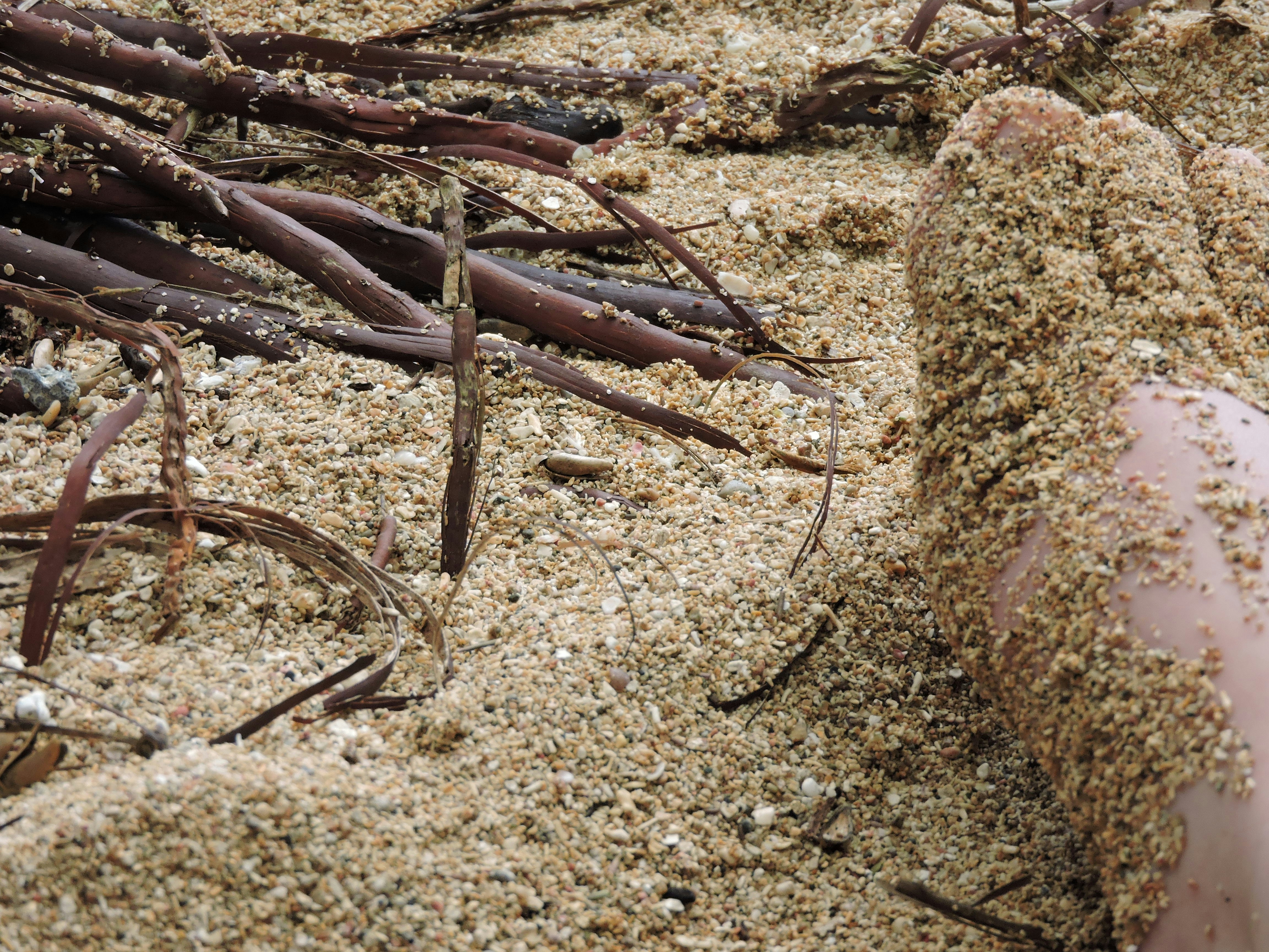 Free Unsplash photo from Hilary Madrigal