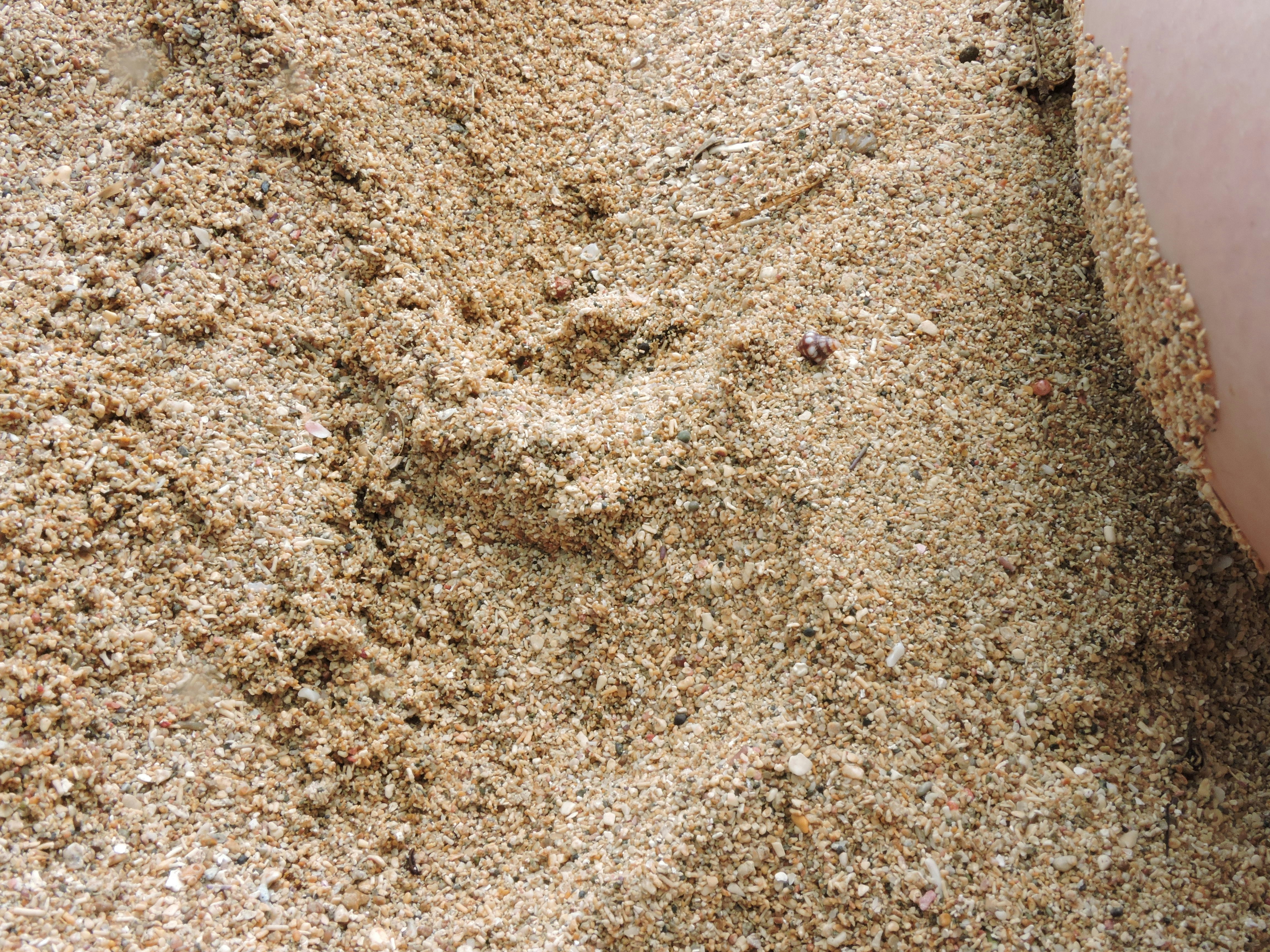 Free Unsplash photo from Hilary Madrigal