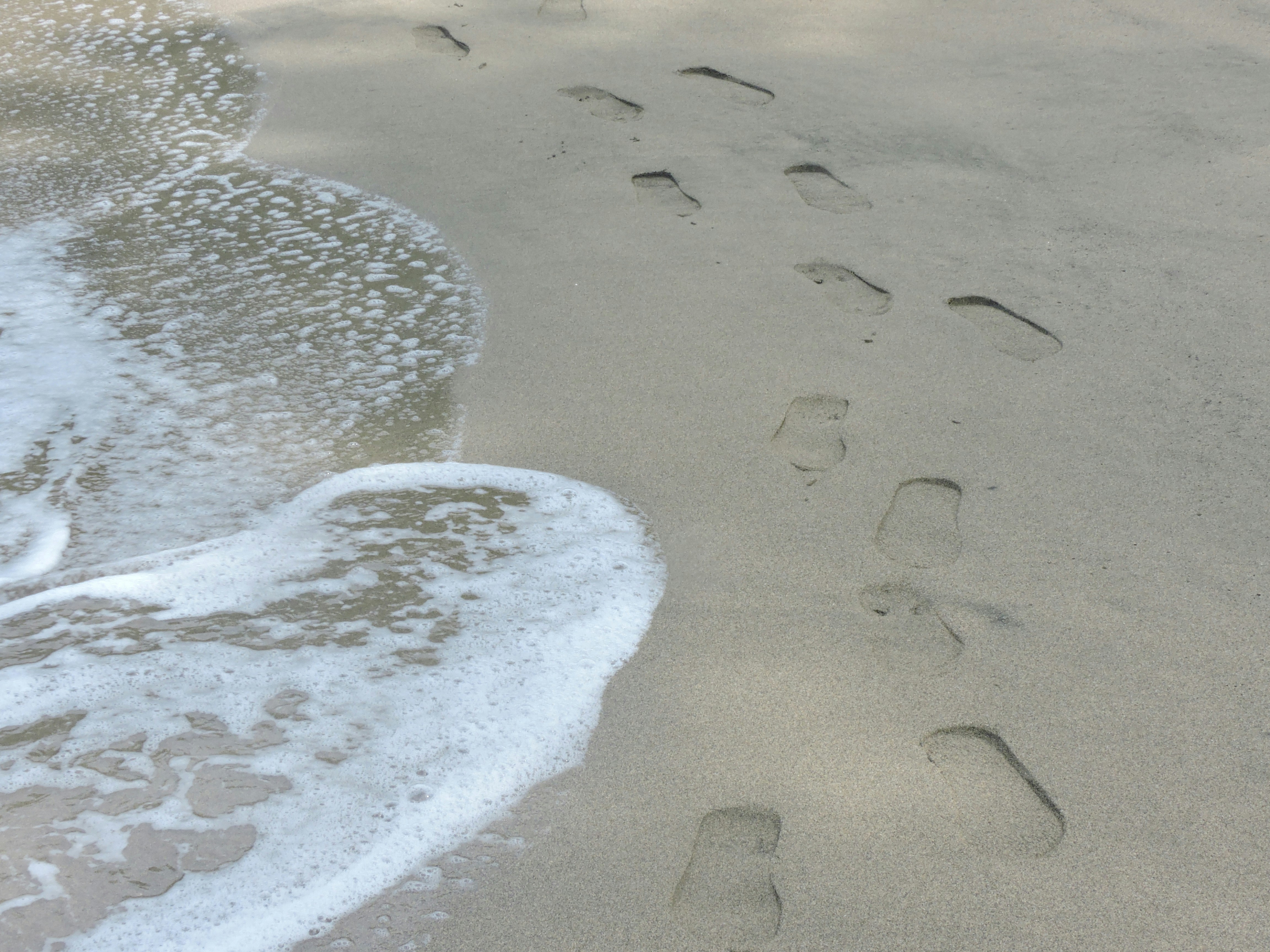 Free Unsplash photo from Hilary Madrigal