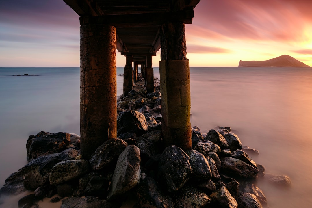 brown dock in body of water