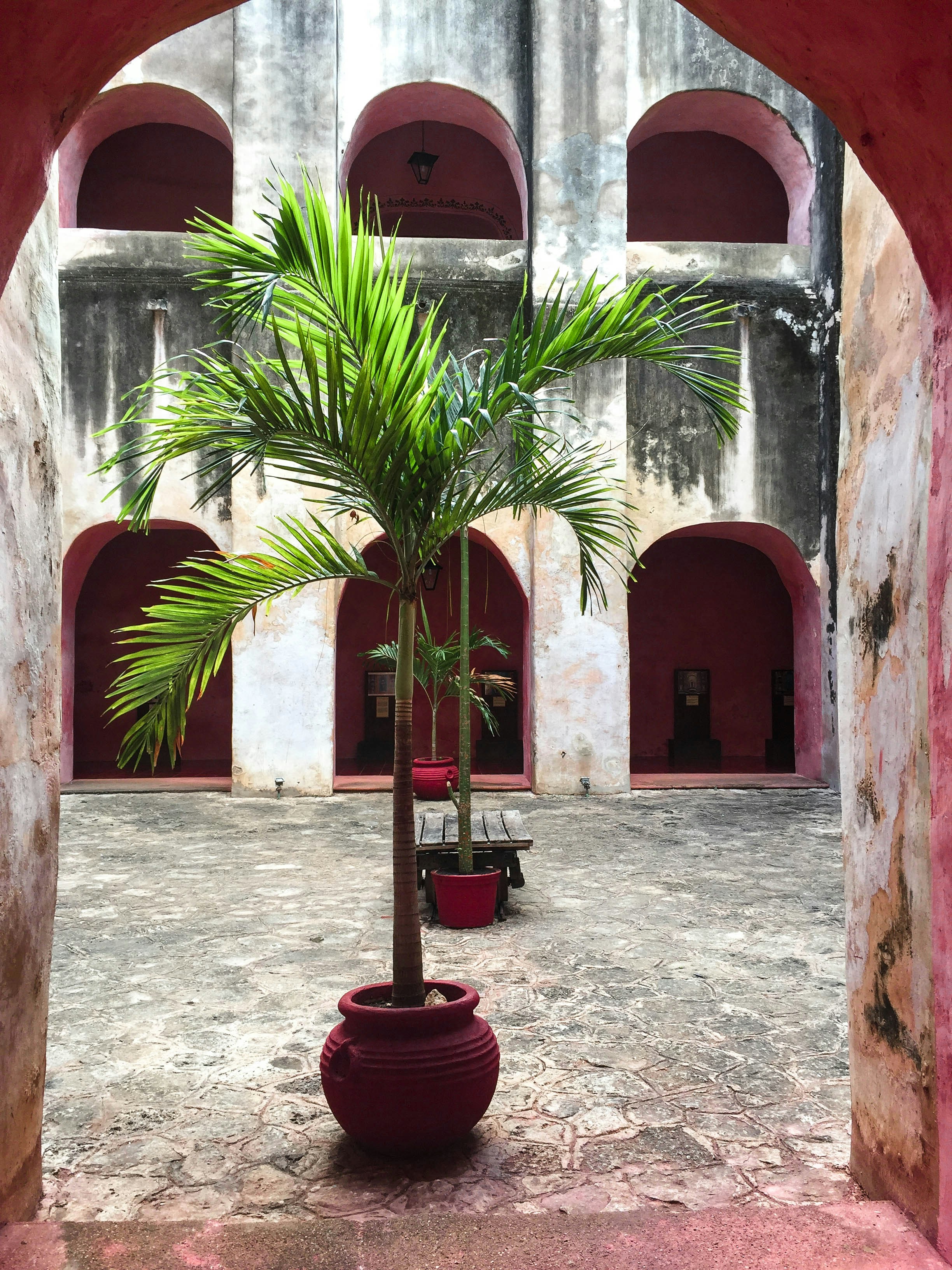 Free Unsplash photo from Melissa Scott