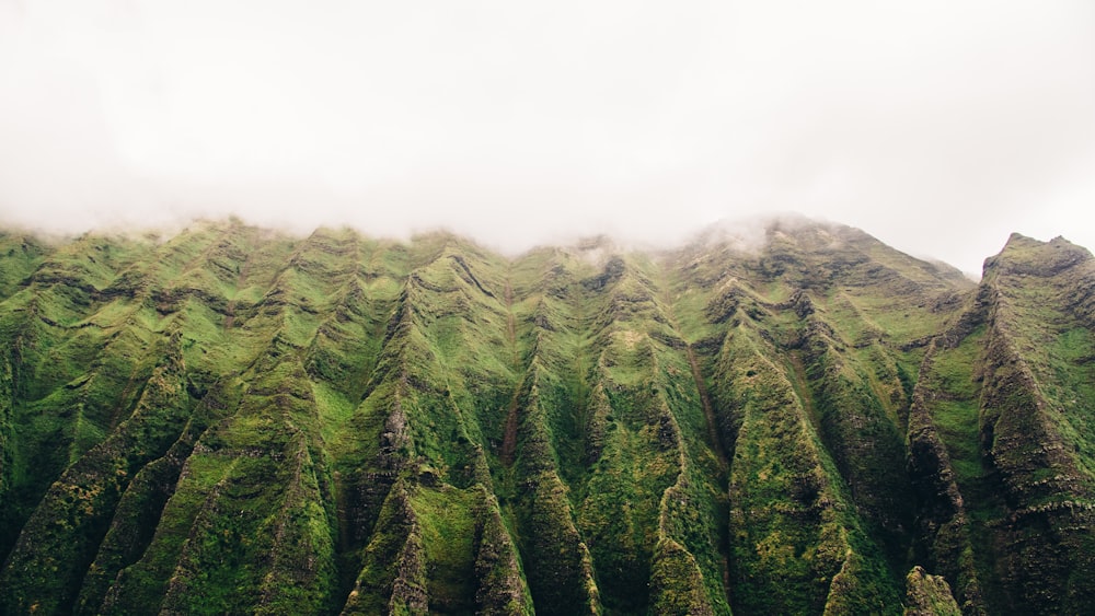 photo de montagne incurvée verte