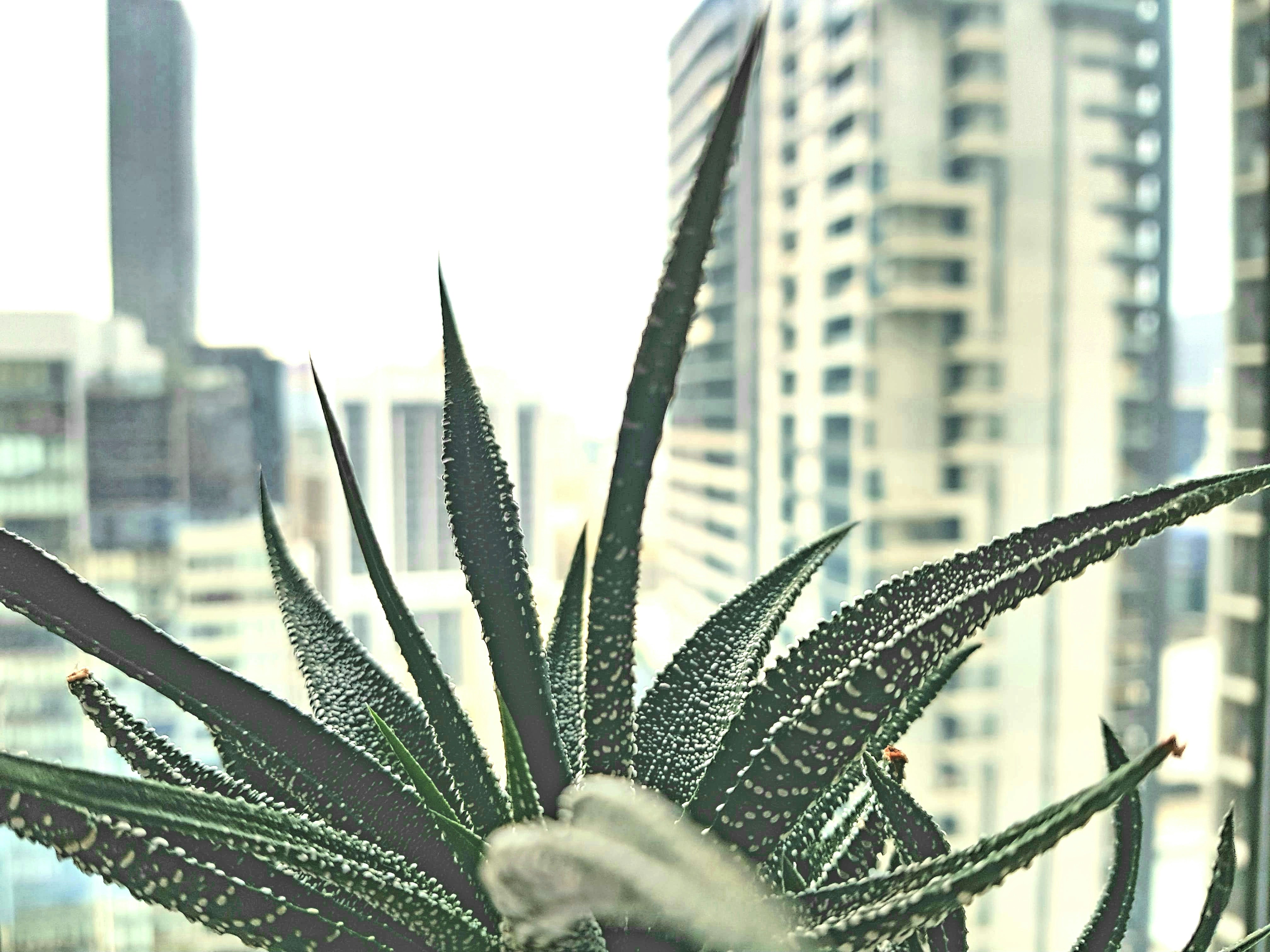 Free Unsplash photo from Daniel Ting