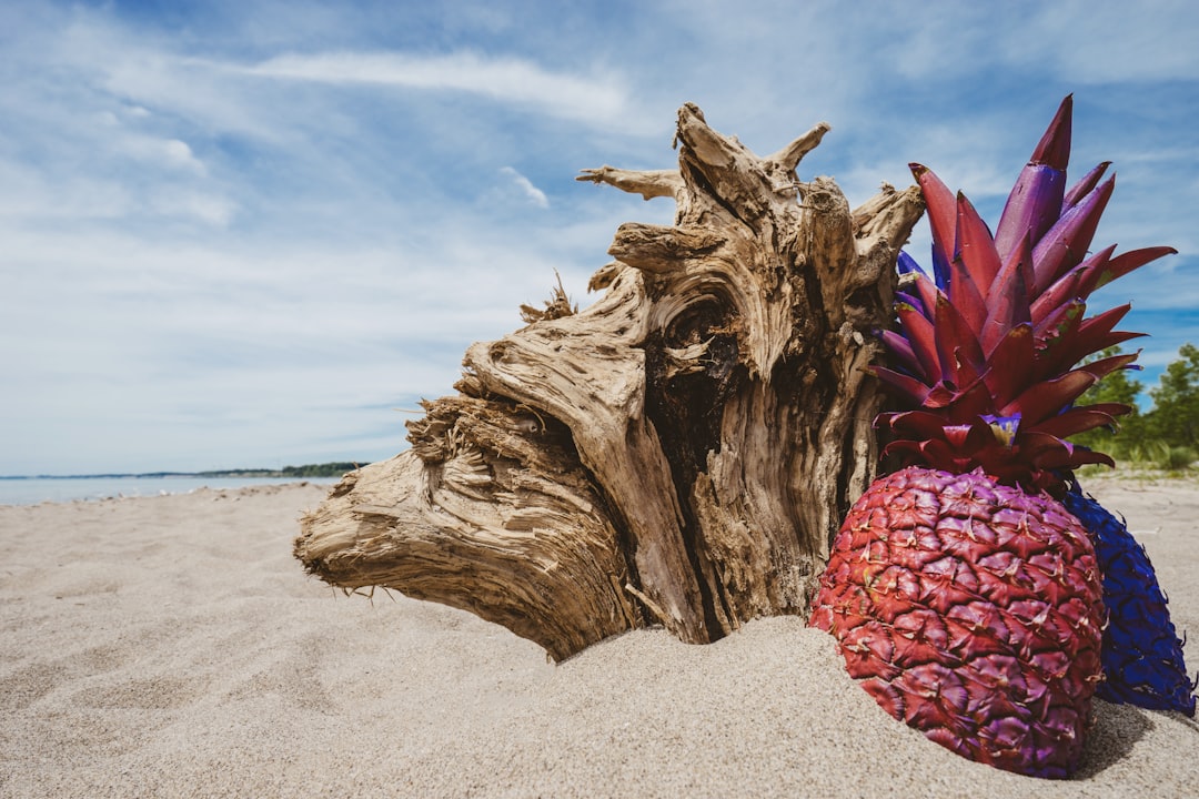 Tropics photo spot Port Bruce Provincial Park Lambton Shores