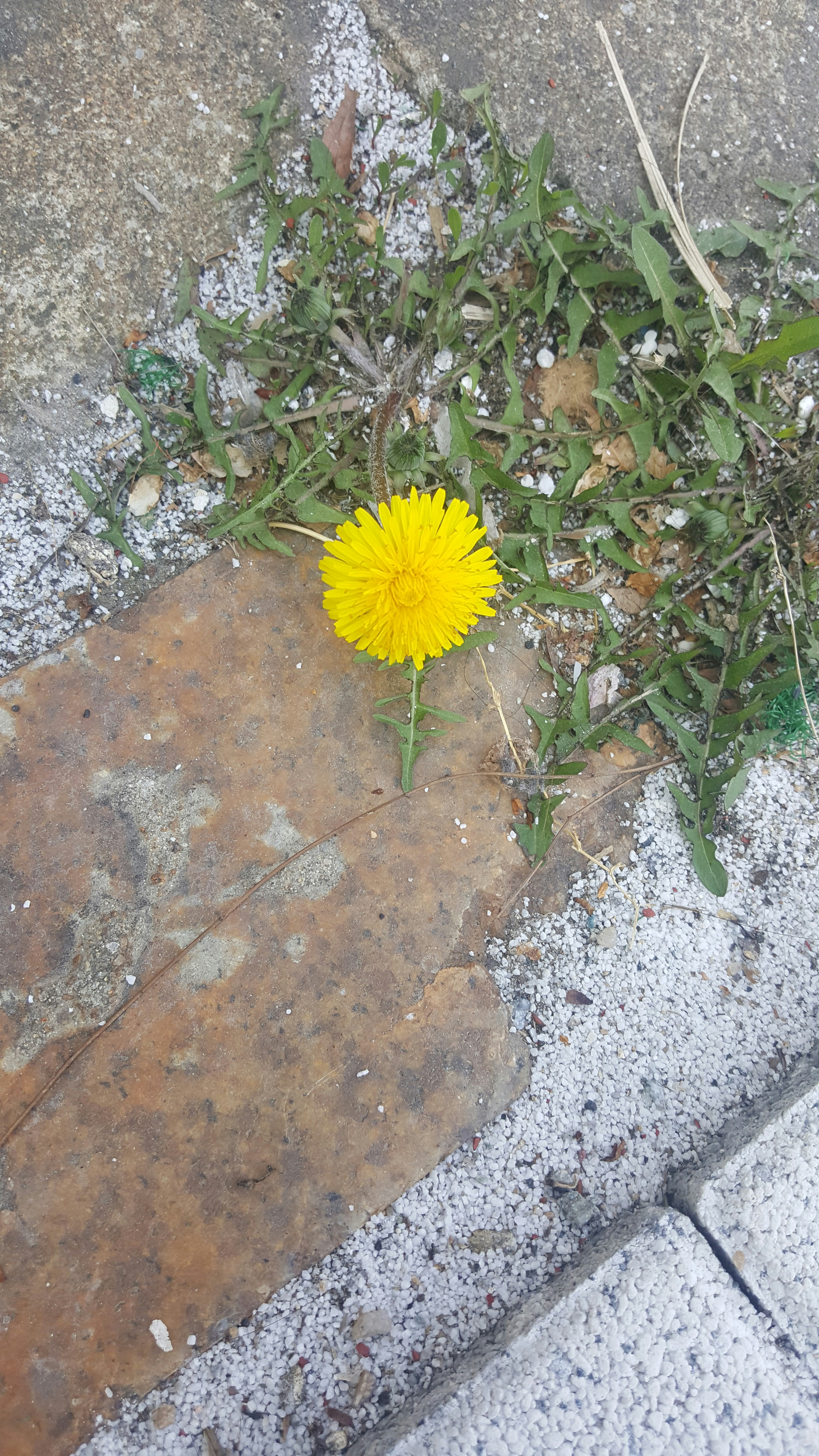 Free Unsplash photo from wonseok kim