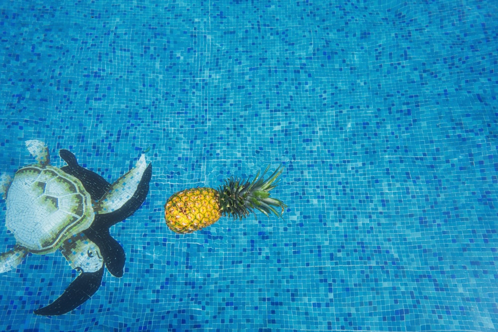 frutto dell'ananas giallo