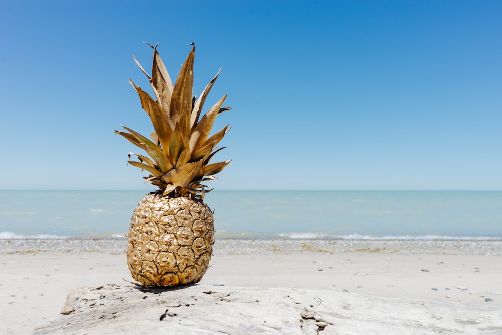 A single pineapple on the beach.