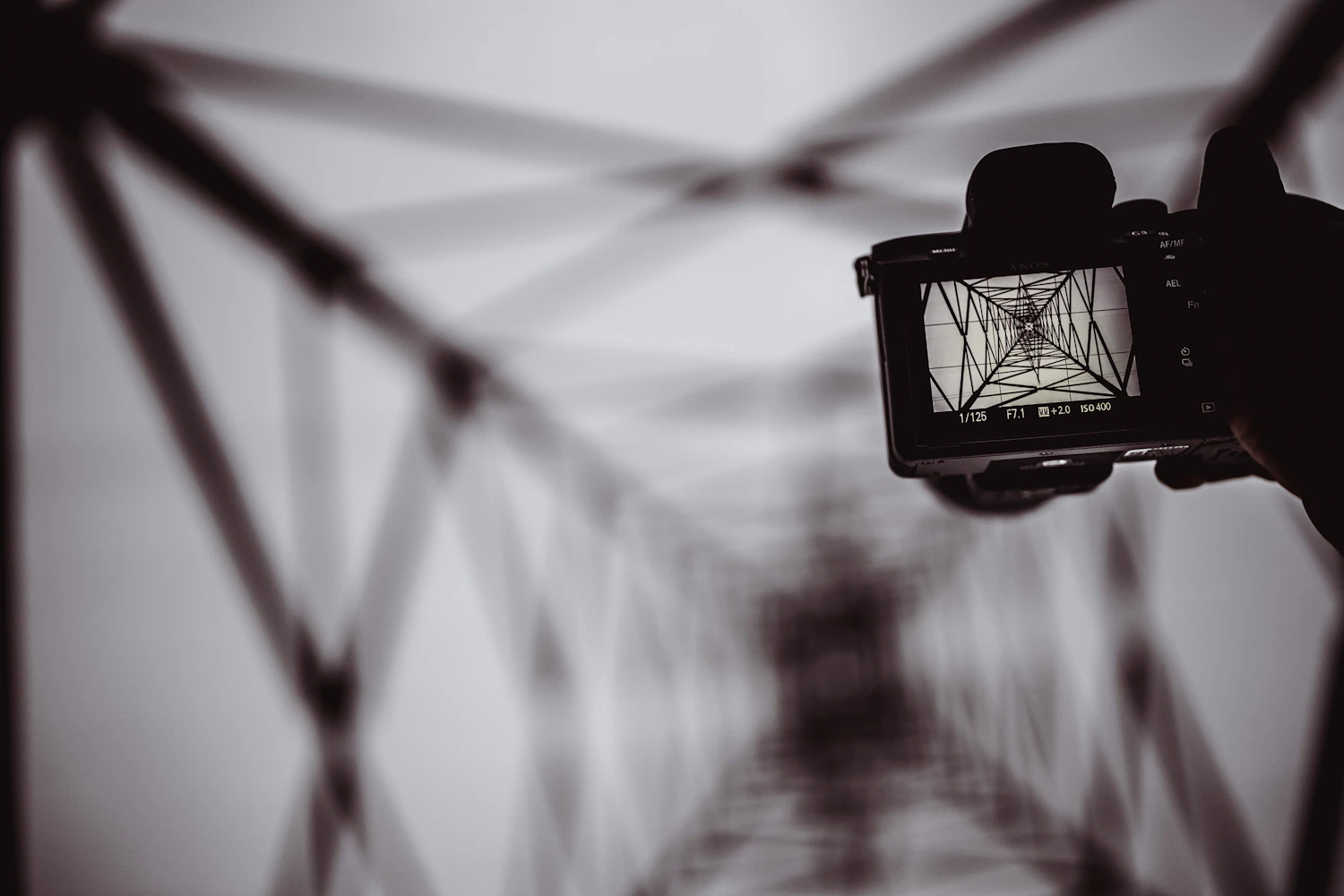 Turning on the camera's grid overlay puts the thirds lines on screen, making it easy to place a horizon or subject along them as you compose.