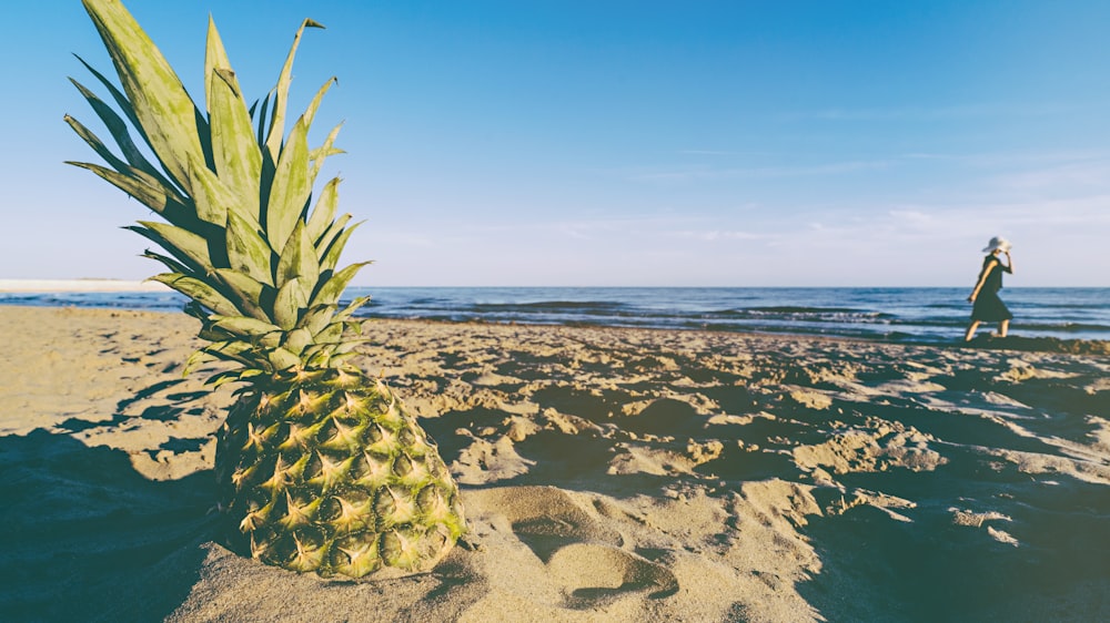 green pineapple on seashore during daytime