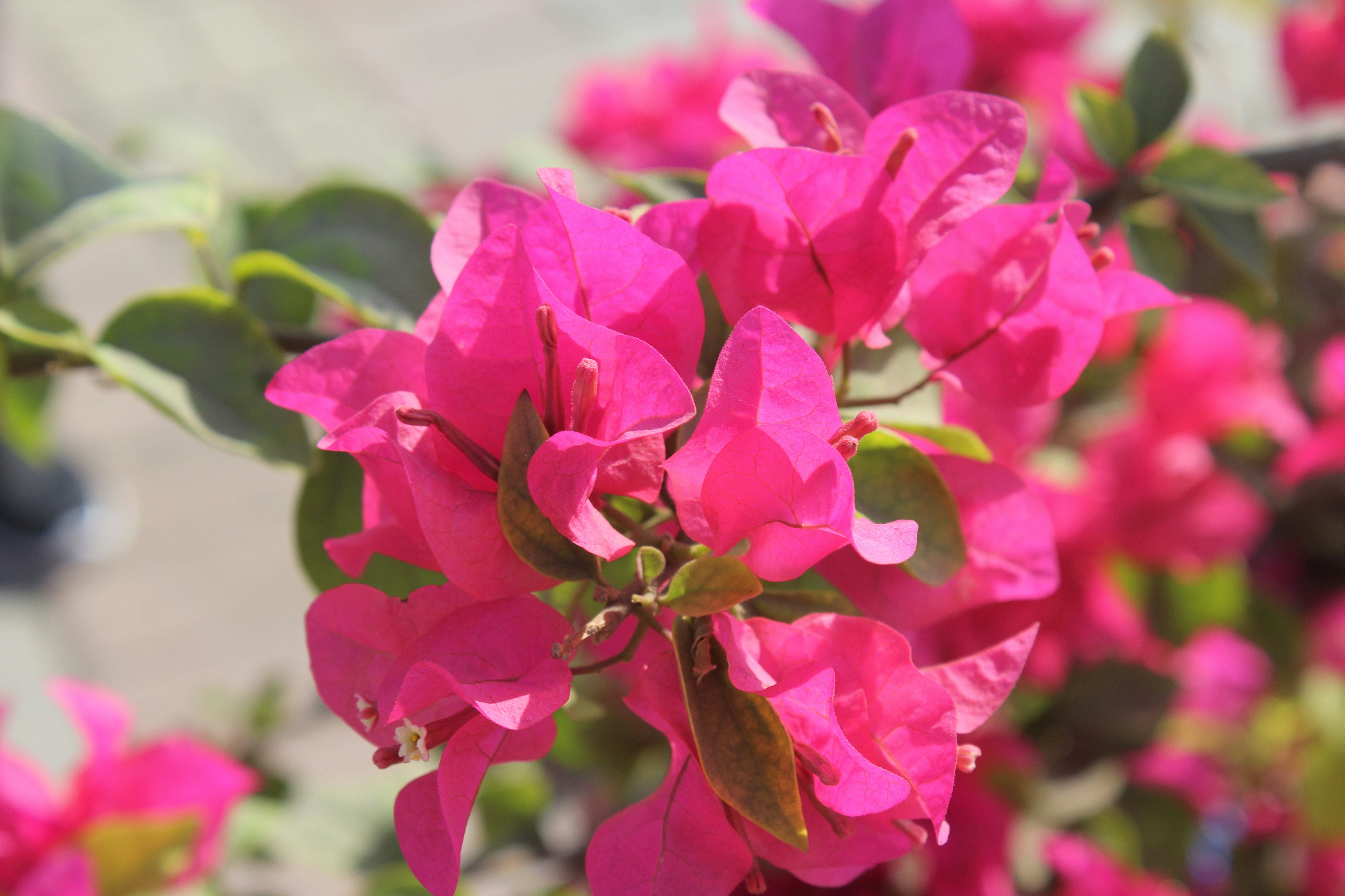 Free Unsplash photo from Parth Sorthiya